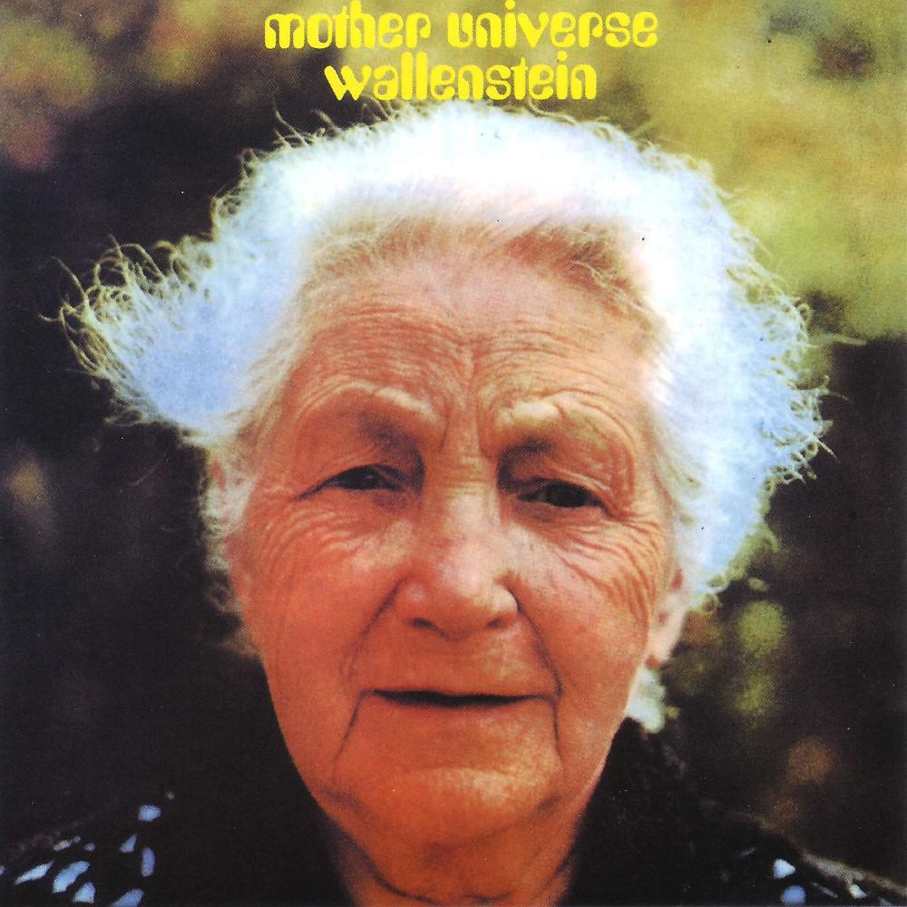 Постер альбома Mother Universe