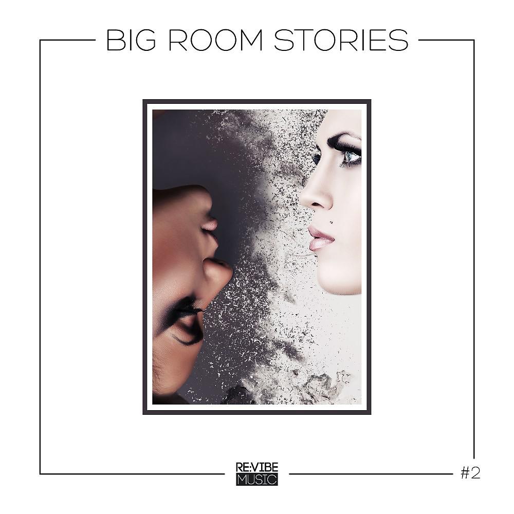 Постер альбома Big Room Stories, Vol. 2