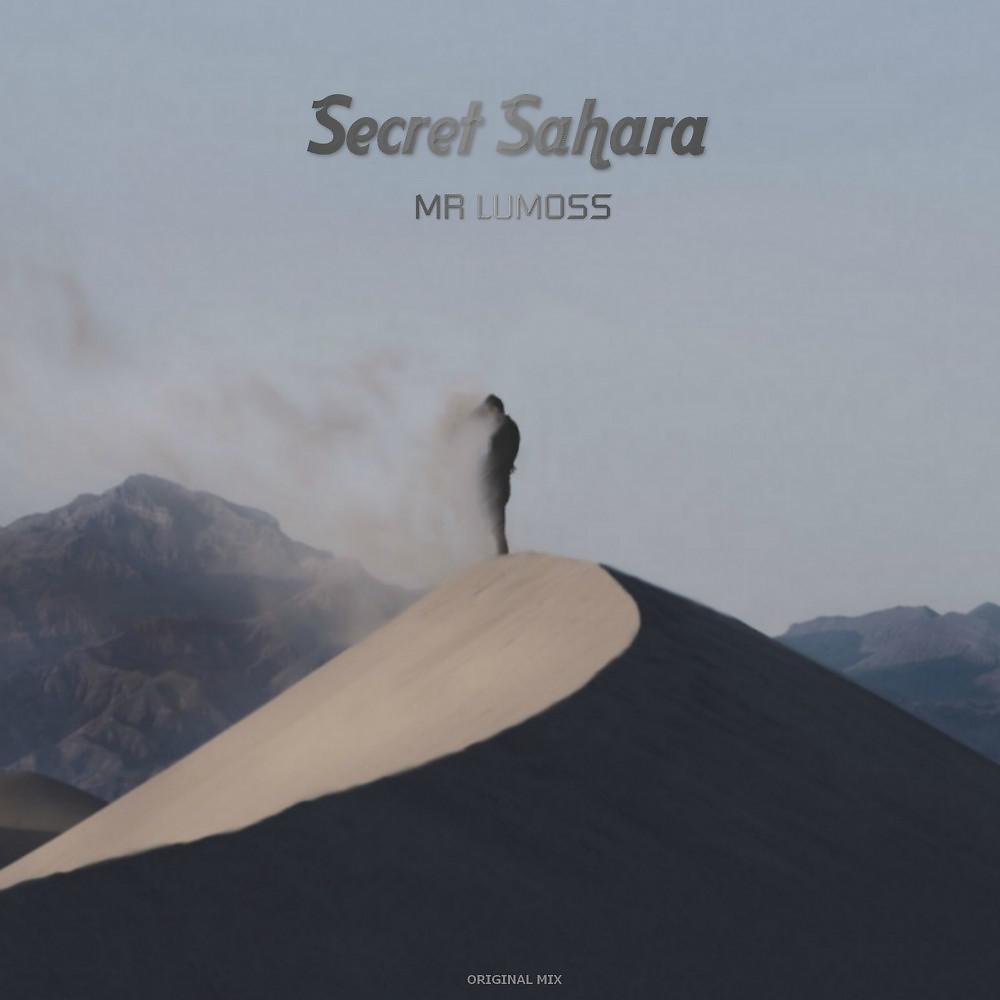 Постер альбома Secret Sahara