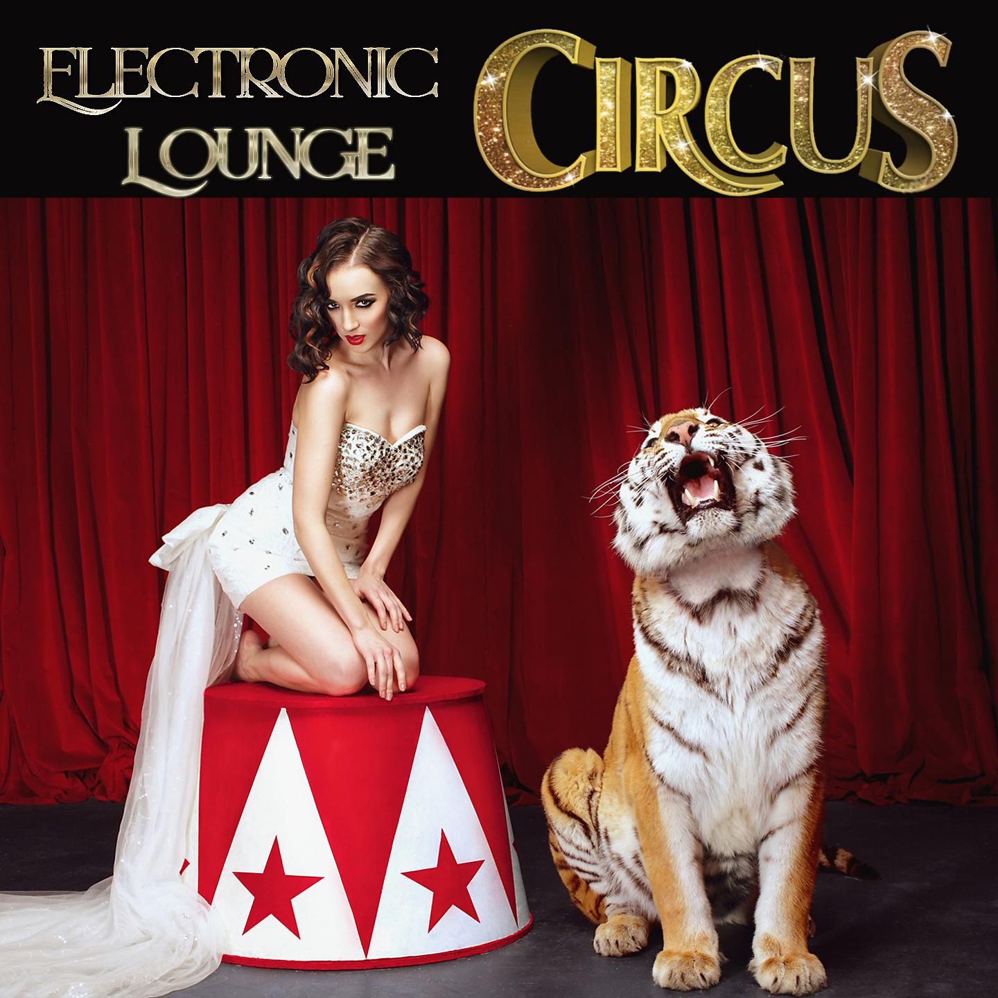 Постер альбома Electronic Circus Lounge