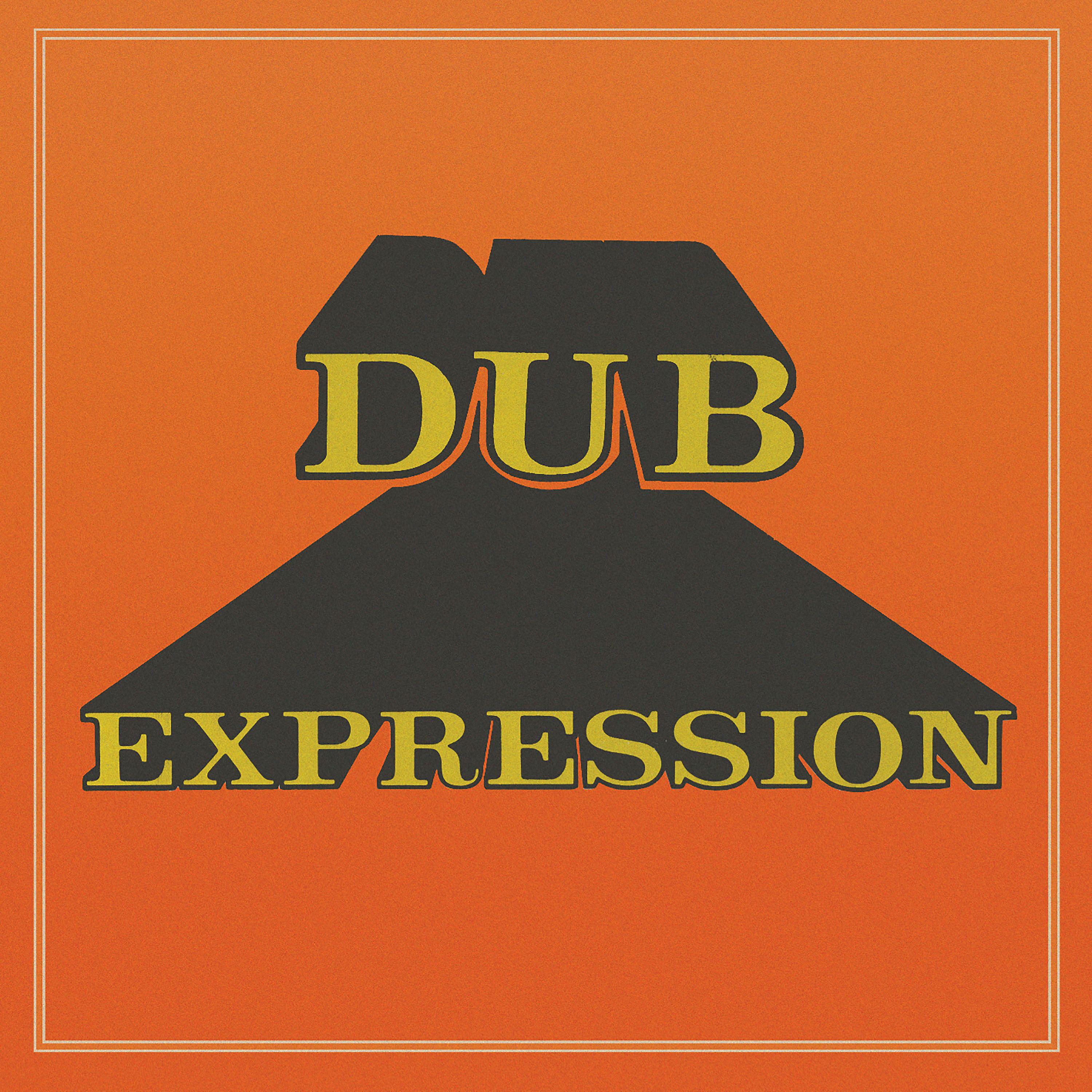 Постер альбома Dub Expression