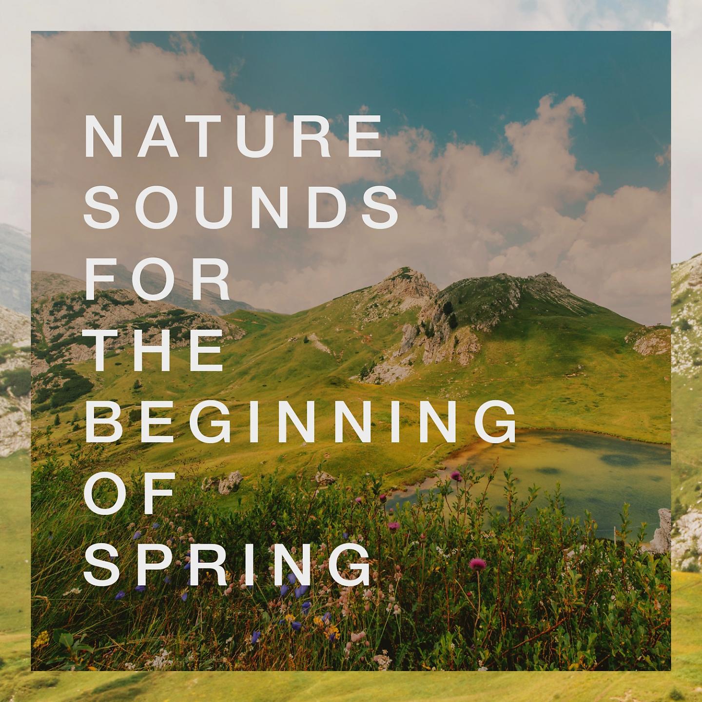 Постер альбома Nature Sounds for the Beginning of Spring