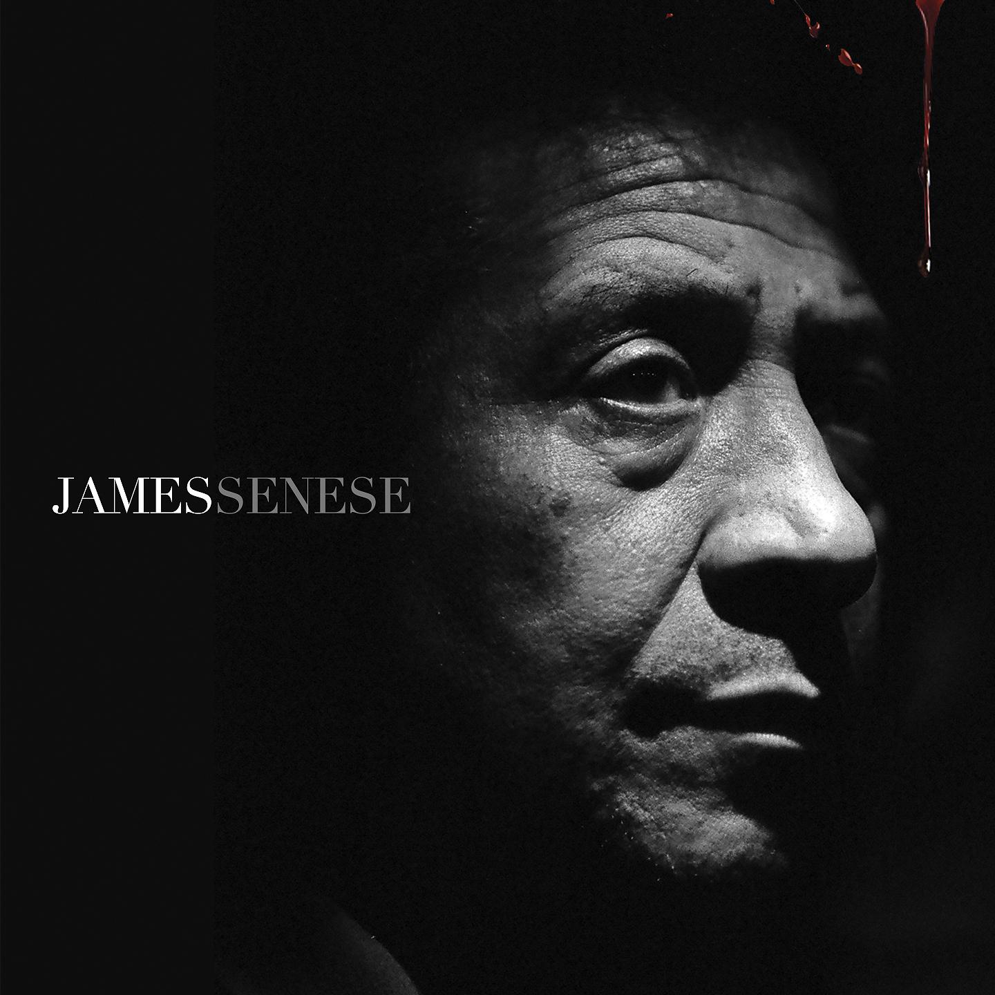 Постер альбома James Senese