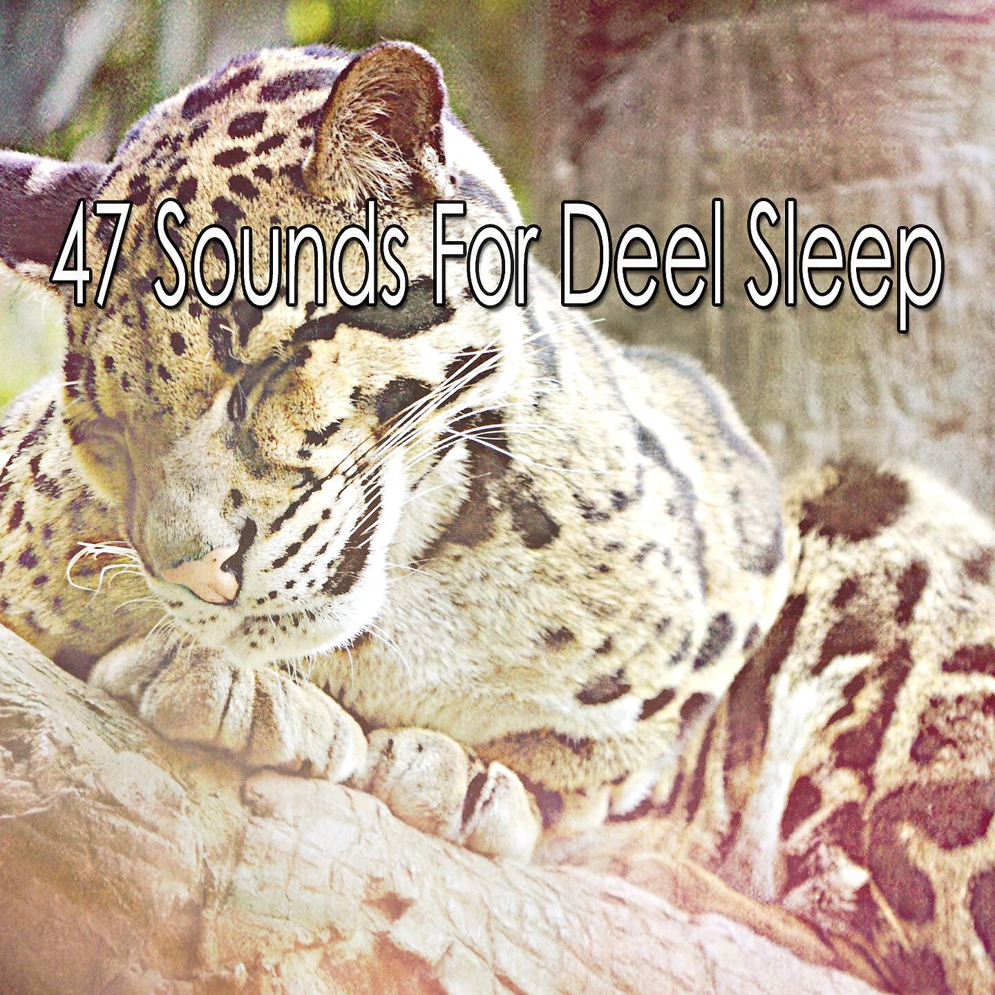 Deep Sleep Music Academy - Frozen Composure