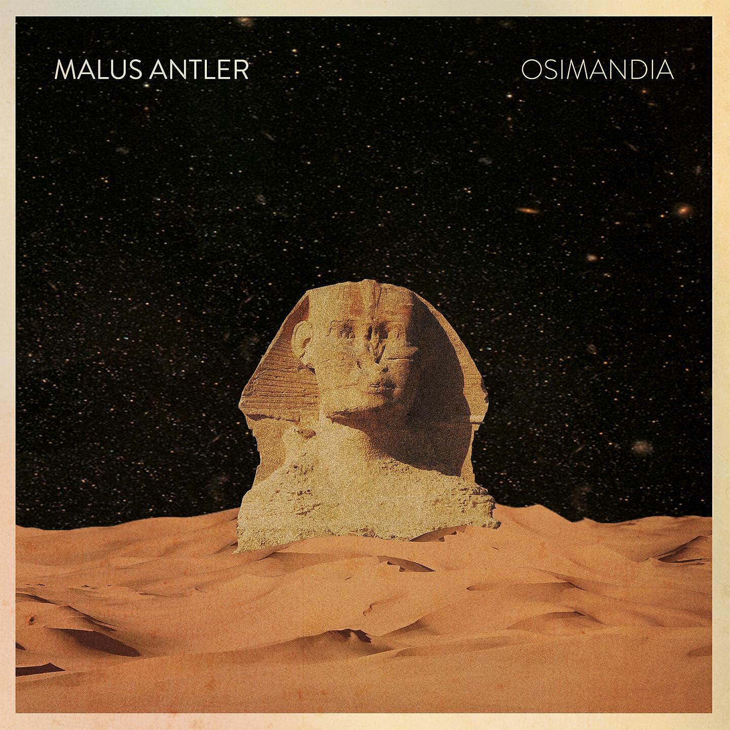 Malus Antler - San Seth