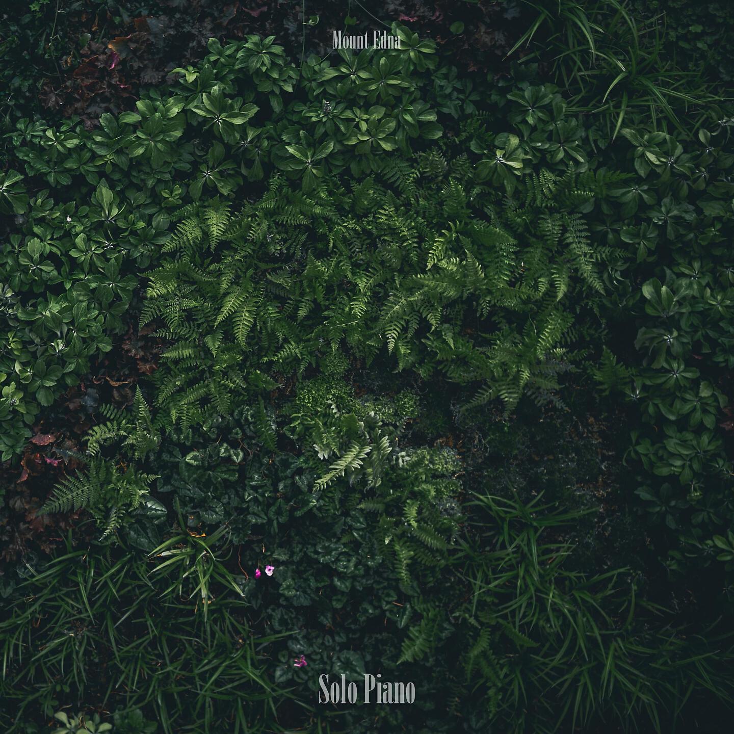 Mount Edna - Lose Her Enemies