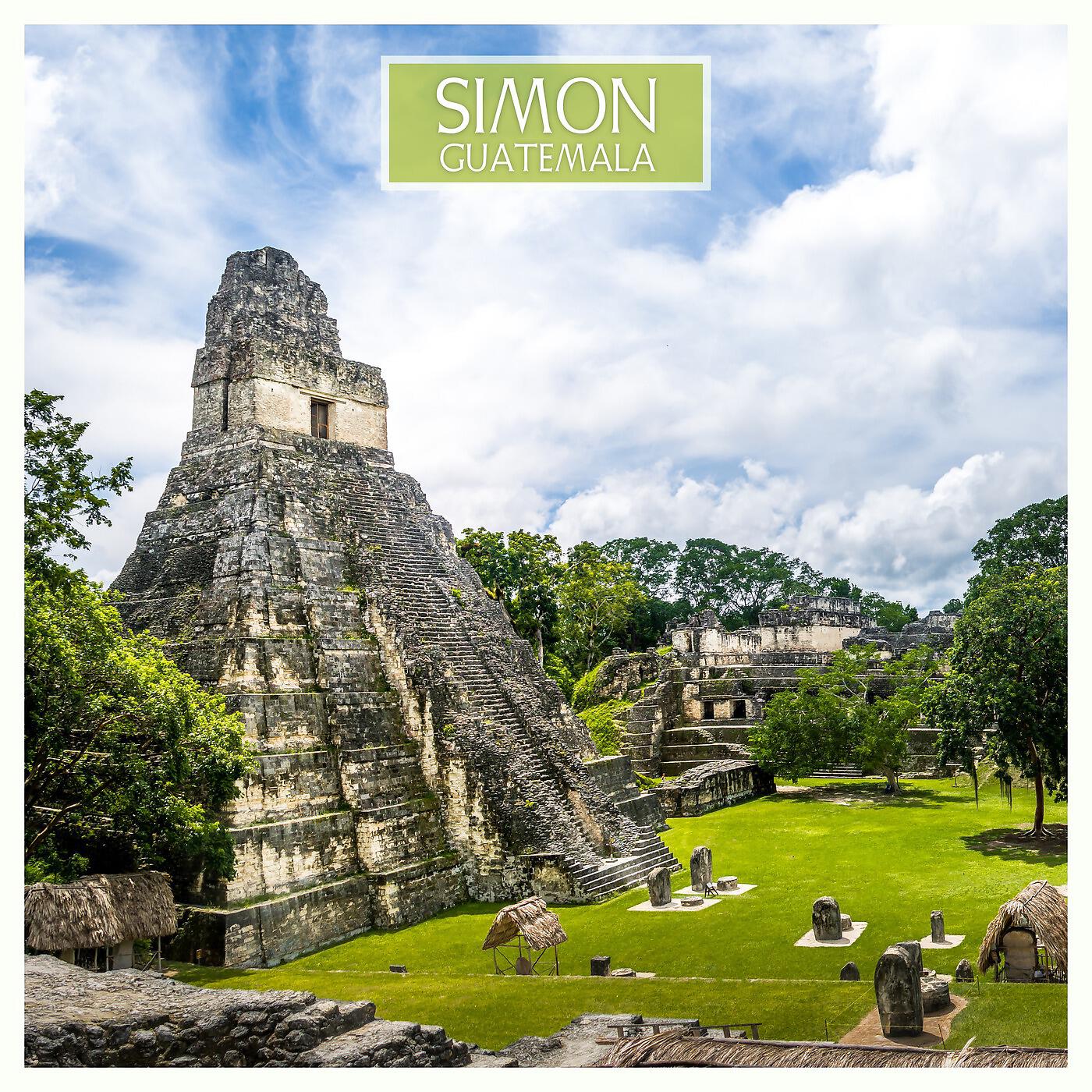 SIMON - Maya
