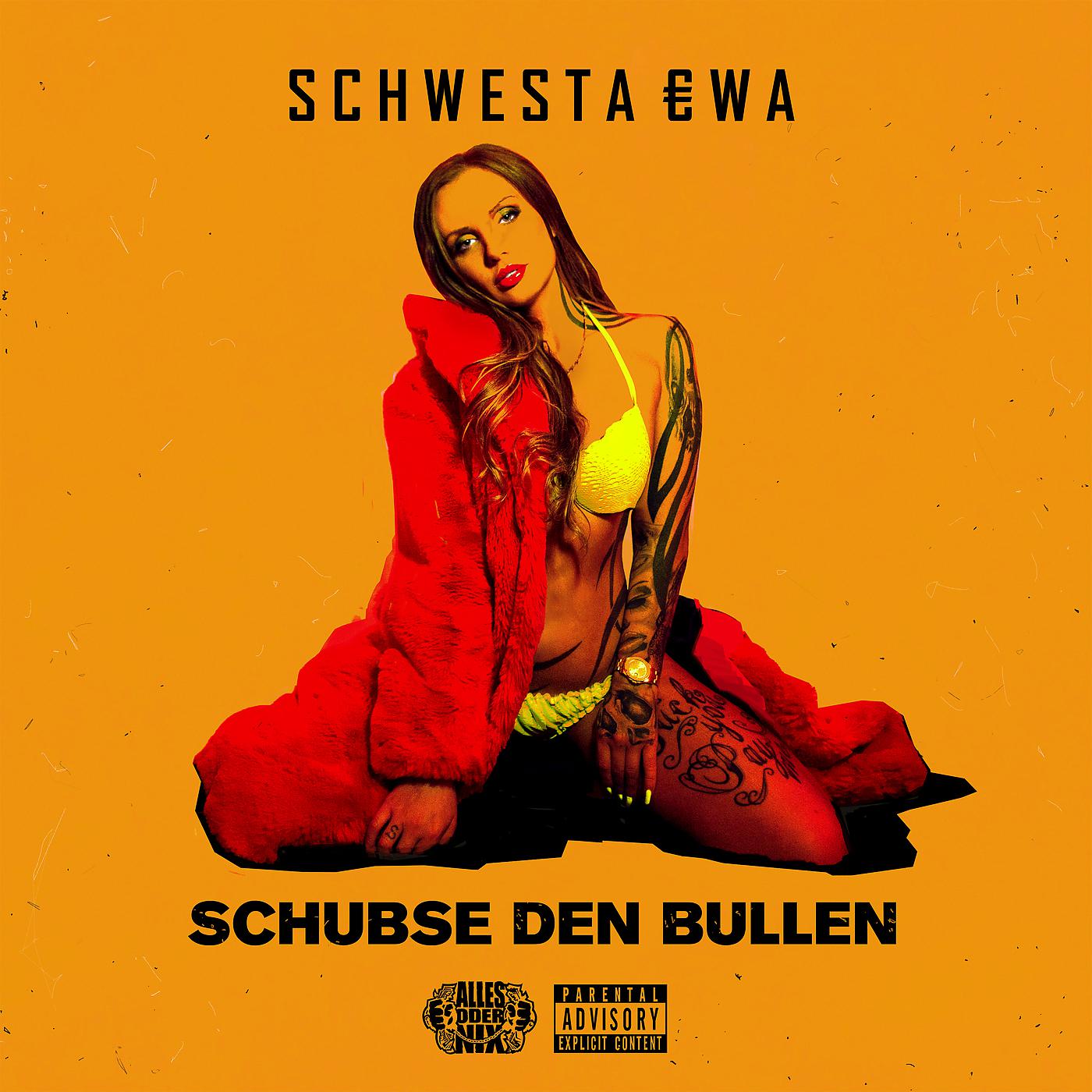 Постер альбома Schubse den Bullen