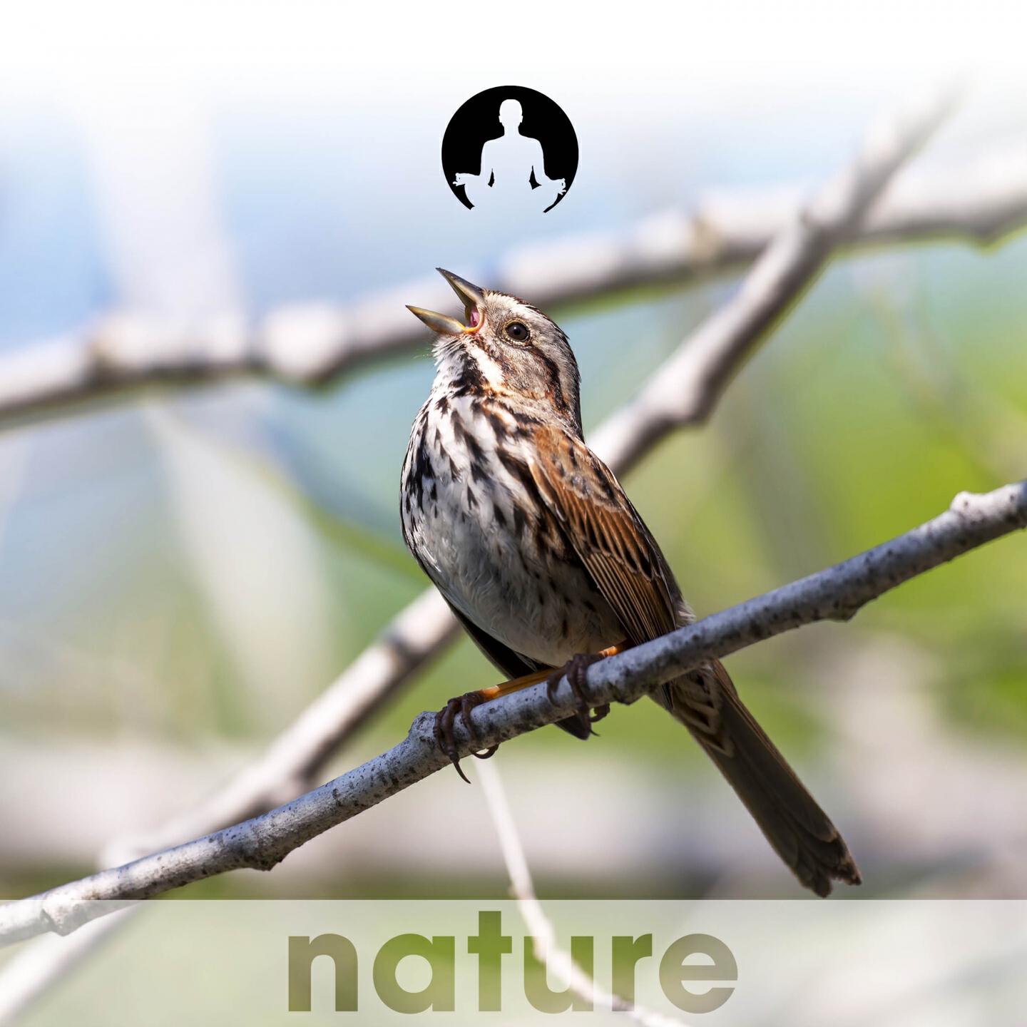 Nature's Harmony - Cajun Calls