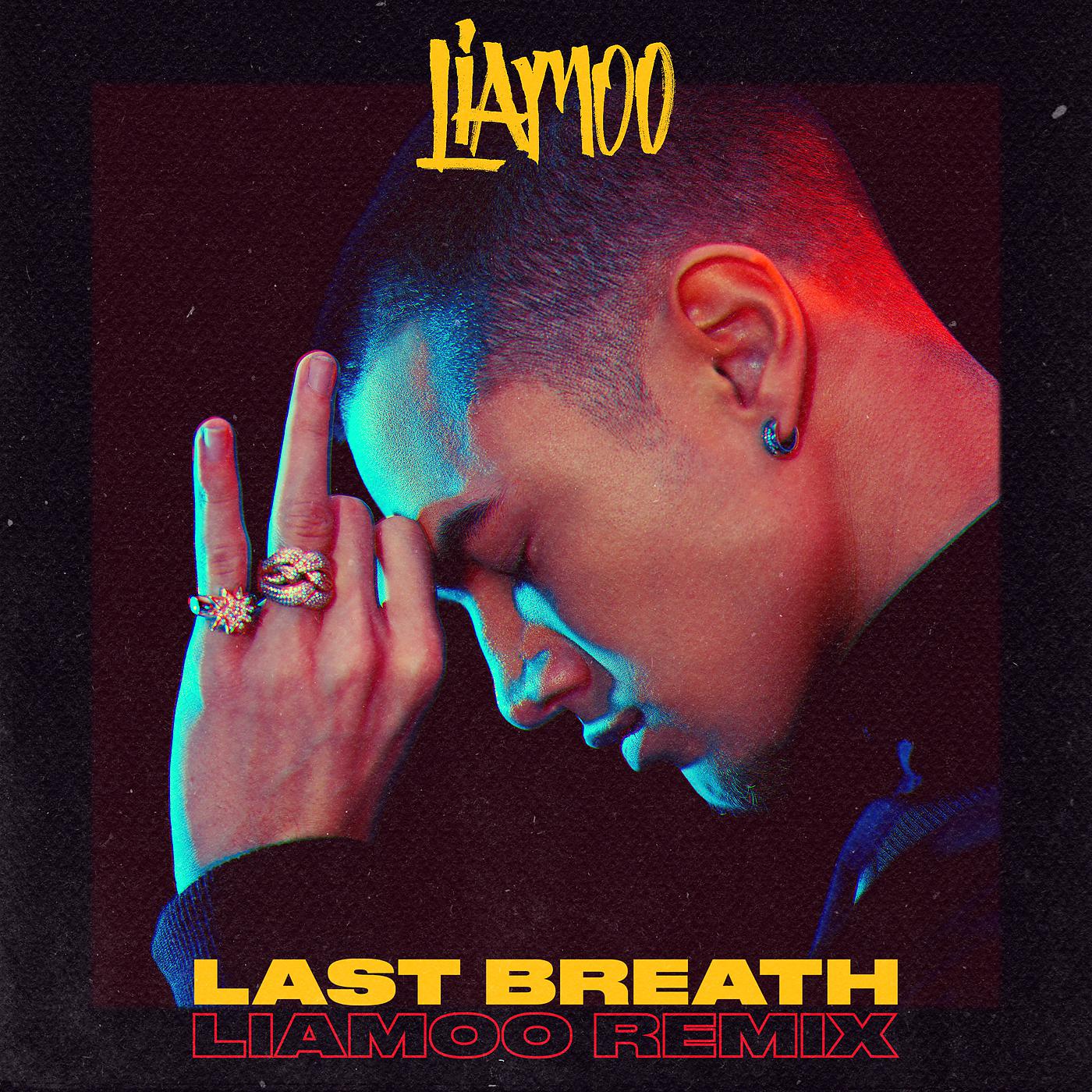 Постер альбома Last Breath