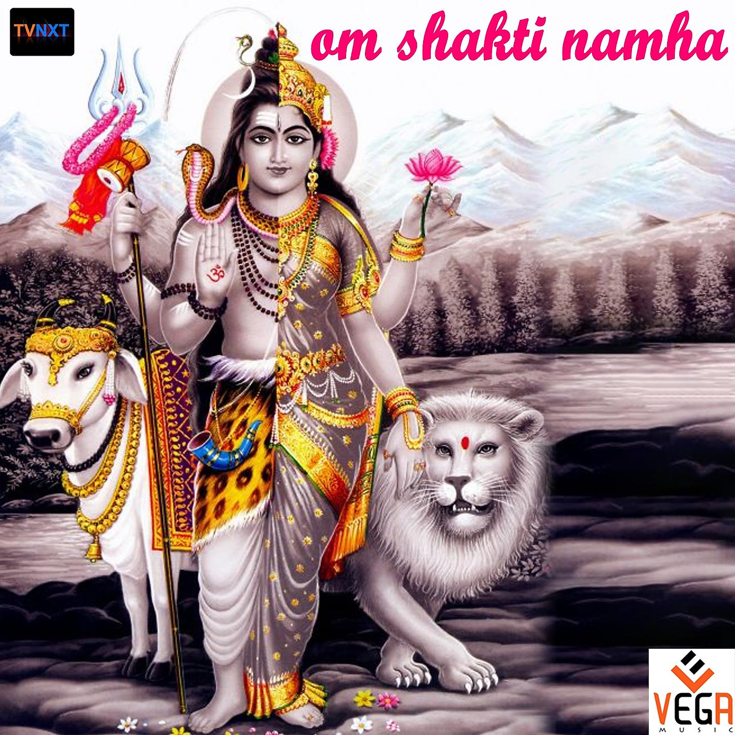 Постер альбома Om Shakti Namha