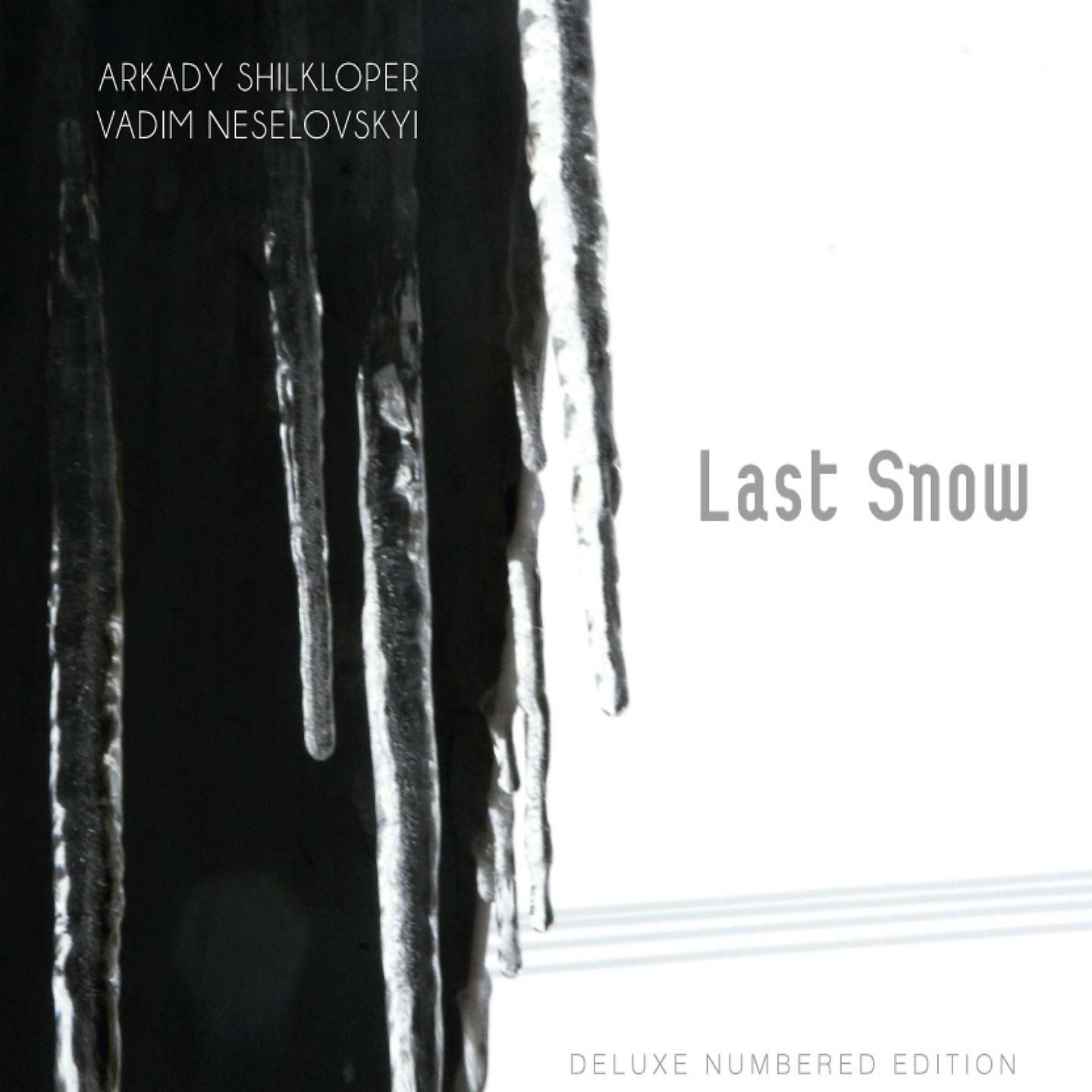 Постер альбома Last Snow