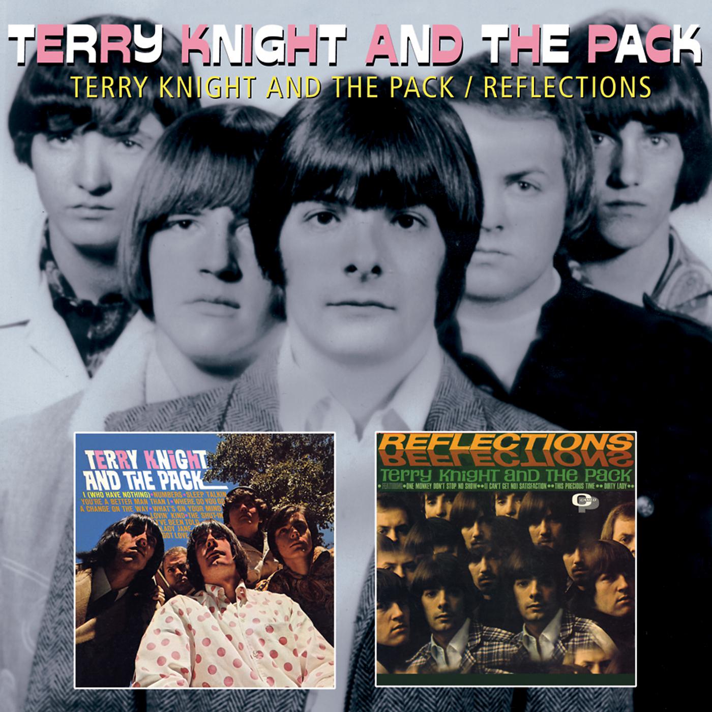 Постер альбома Terry Knight And The Pack/Reflections