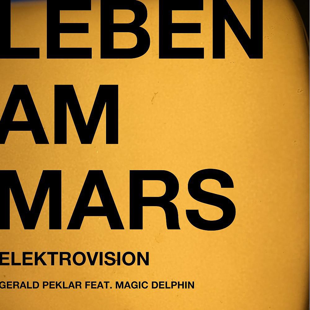 Постер альбома Leben am Mars (Elektrovision Mix)