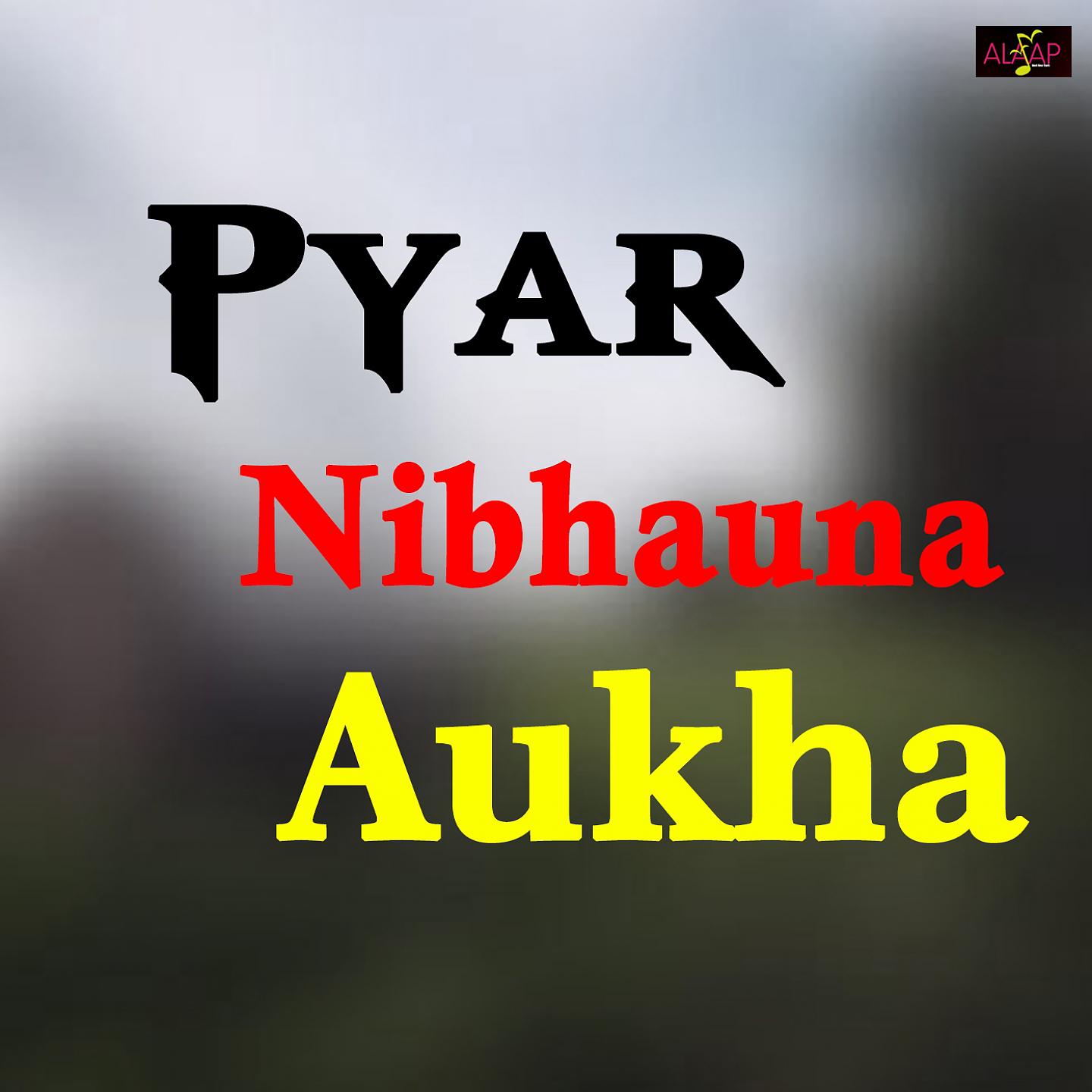 Постер альбома Pyar Nibhauna Aukha