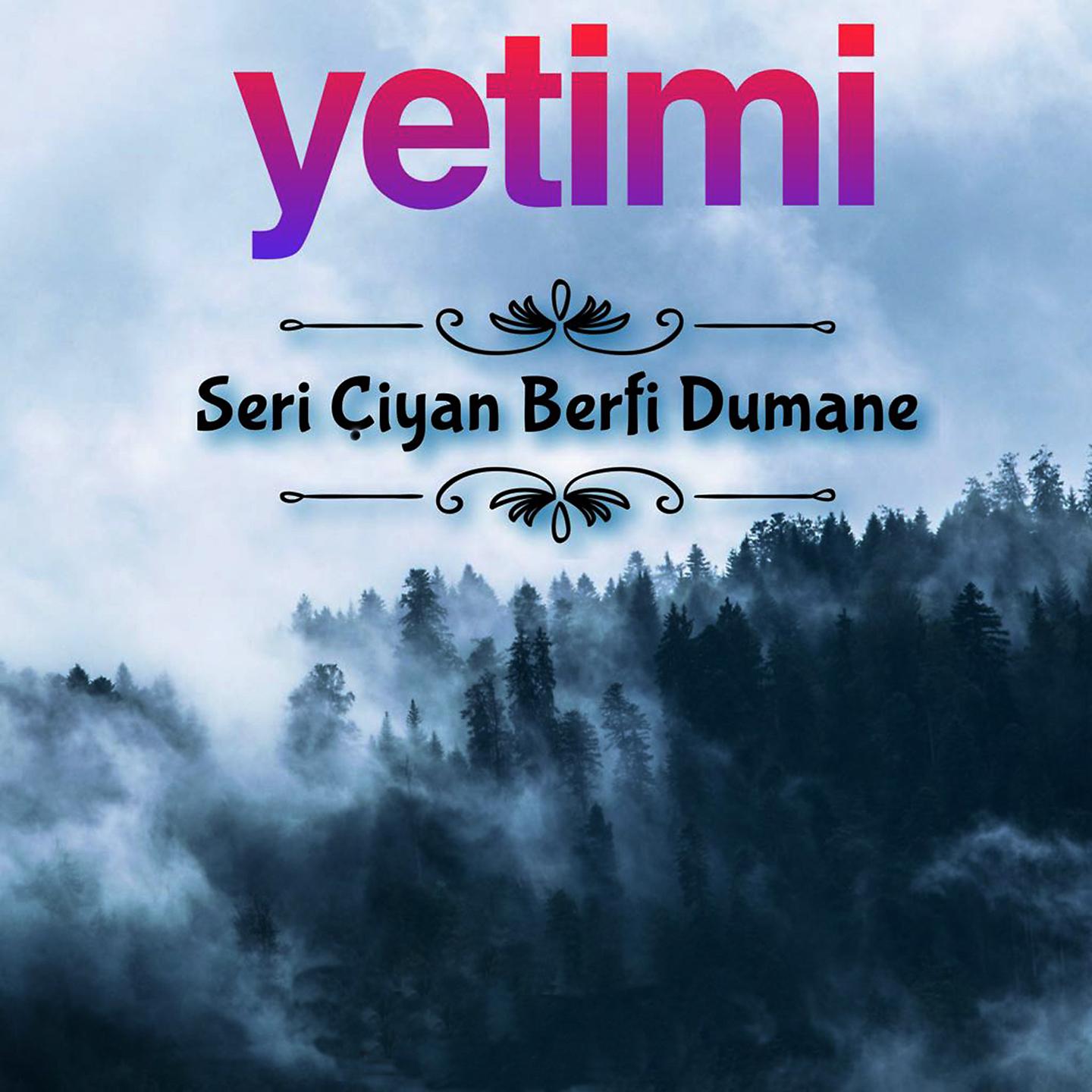 Постер альбома Seri Çiyan Berfi Dumane