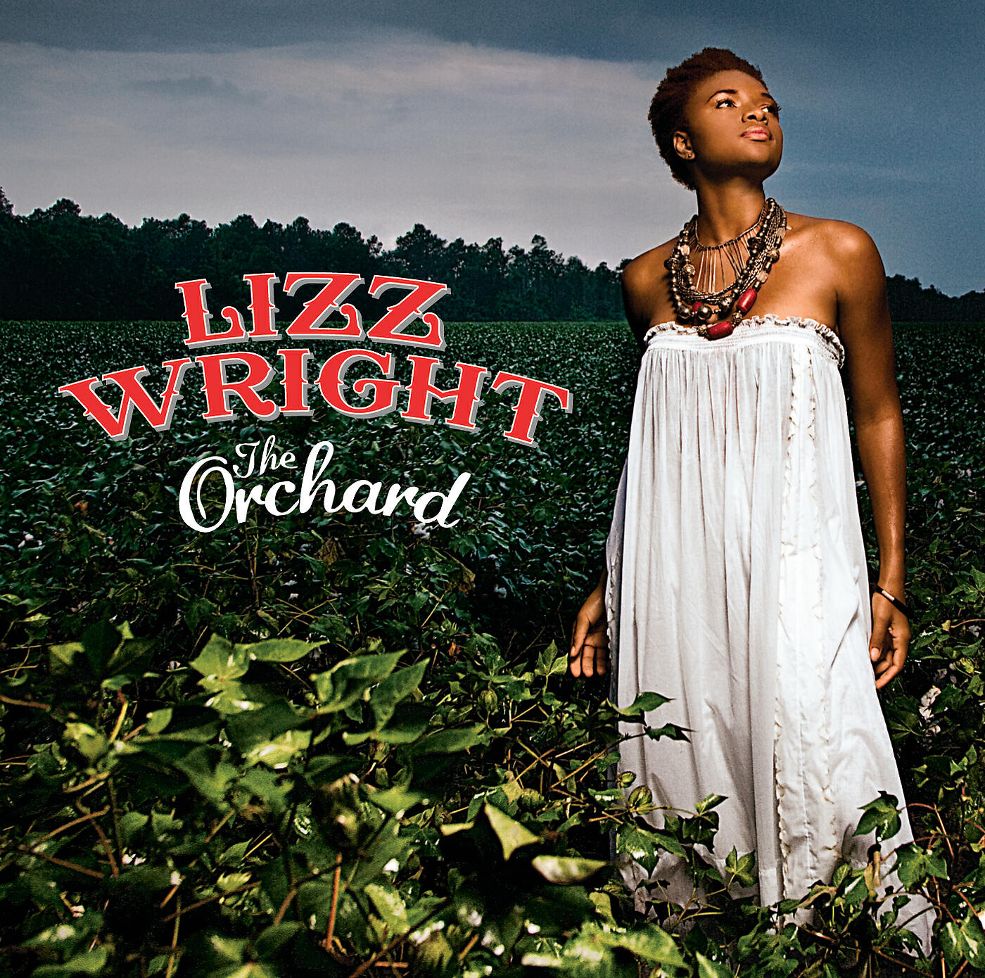 Lizz Wright - Strange (Album Version)