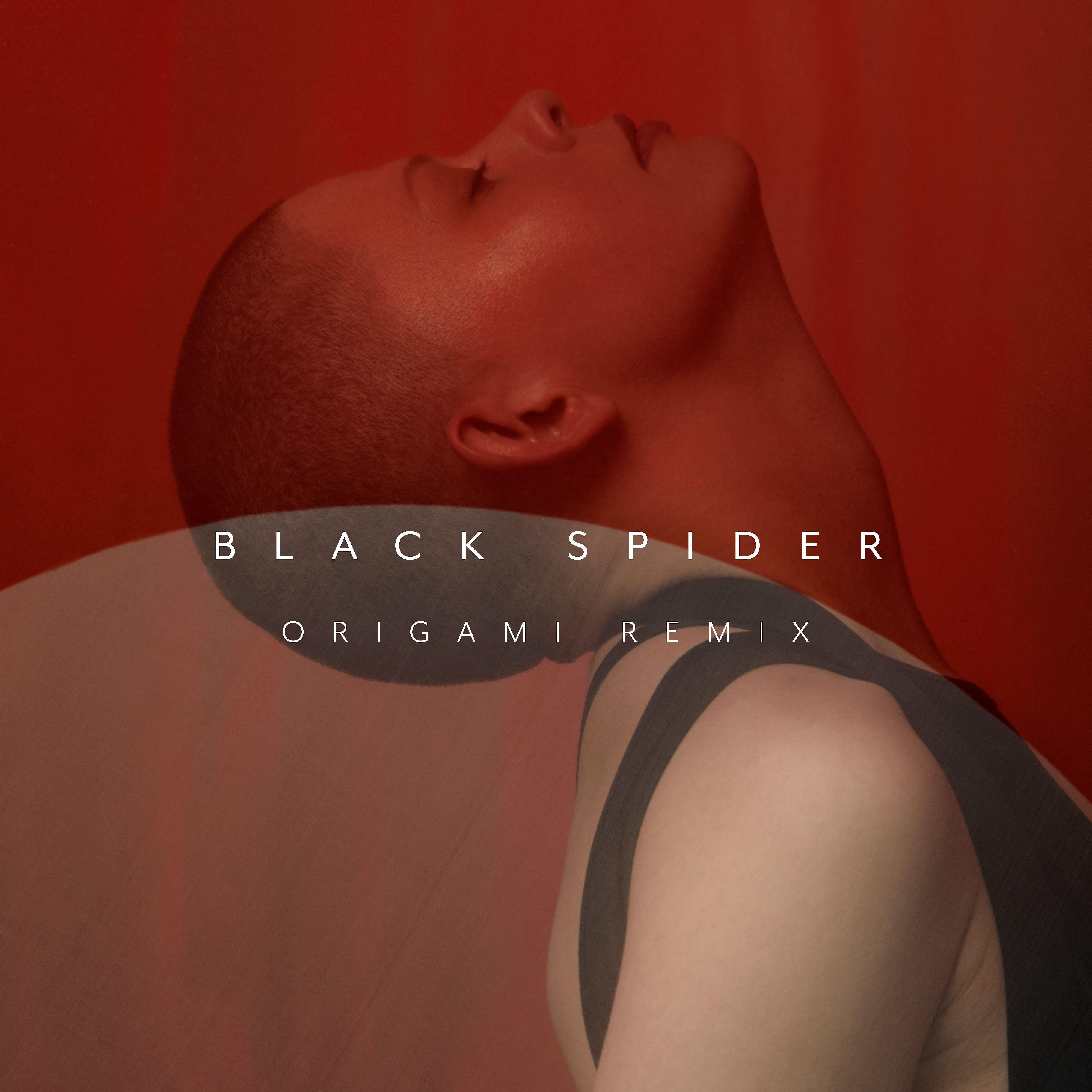 Постер альбома Black Spider (Origami Remix)
