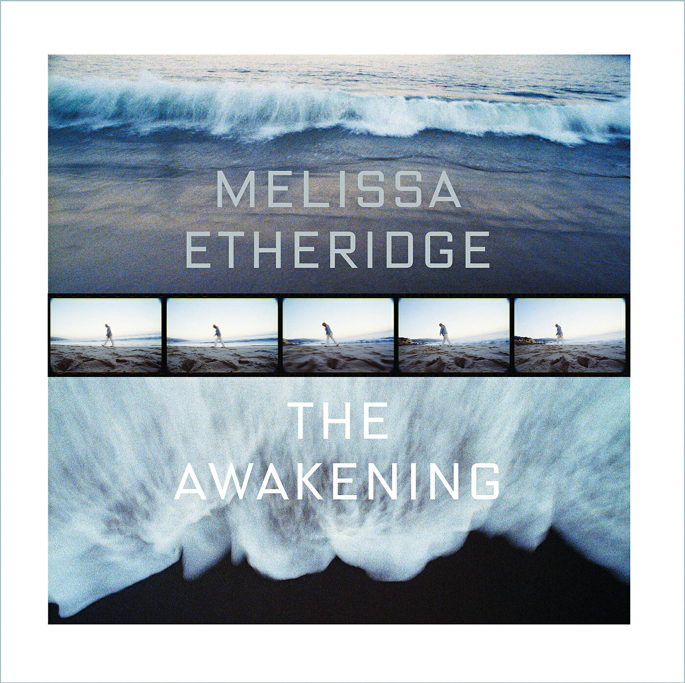 Melissa Etheridge - The Universe Listened (Album Version)