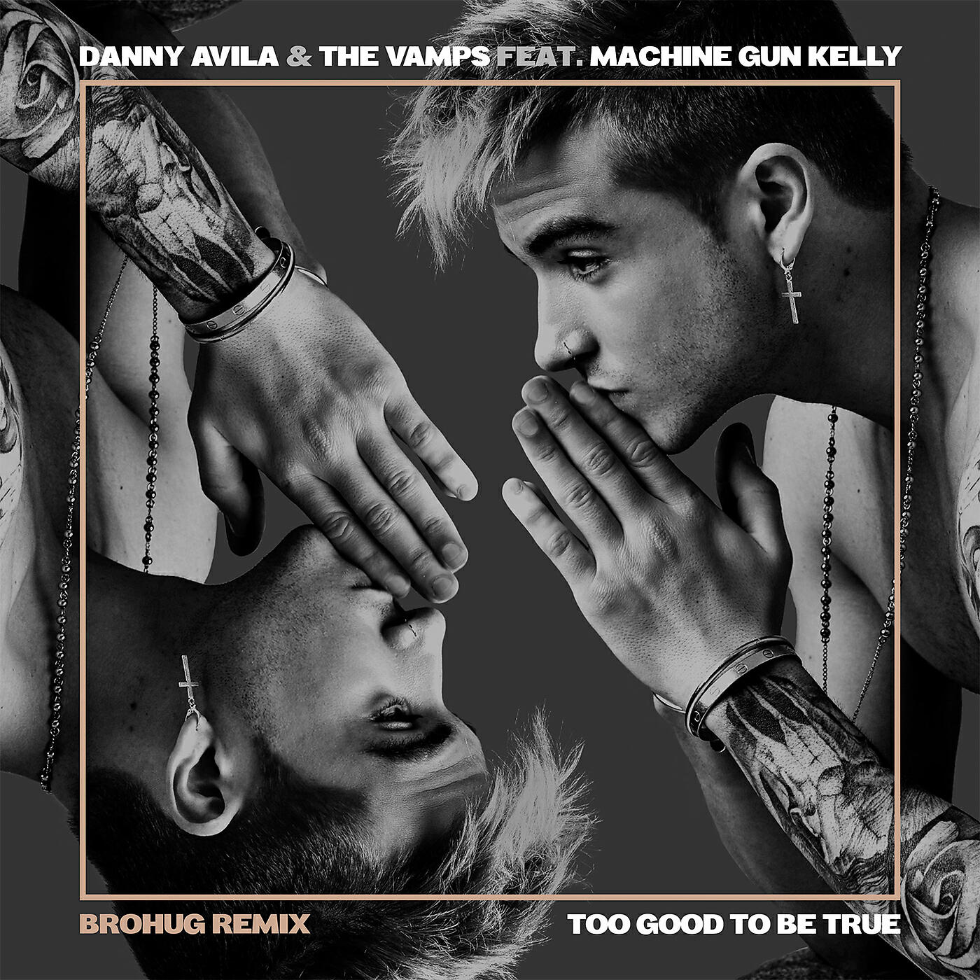Danny Avila - Too Good to Be True (Brohug Remix)