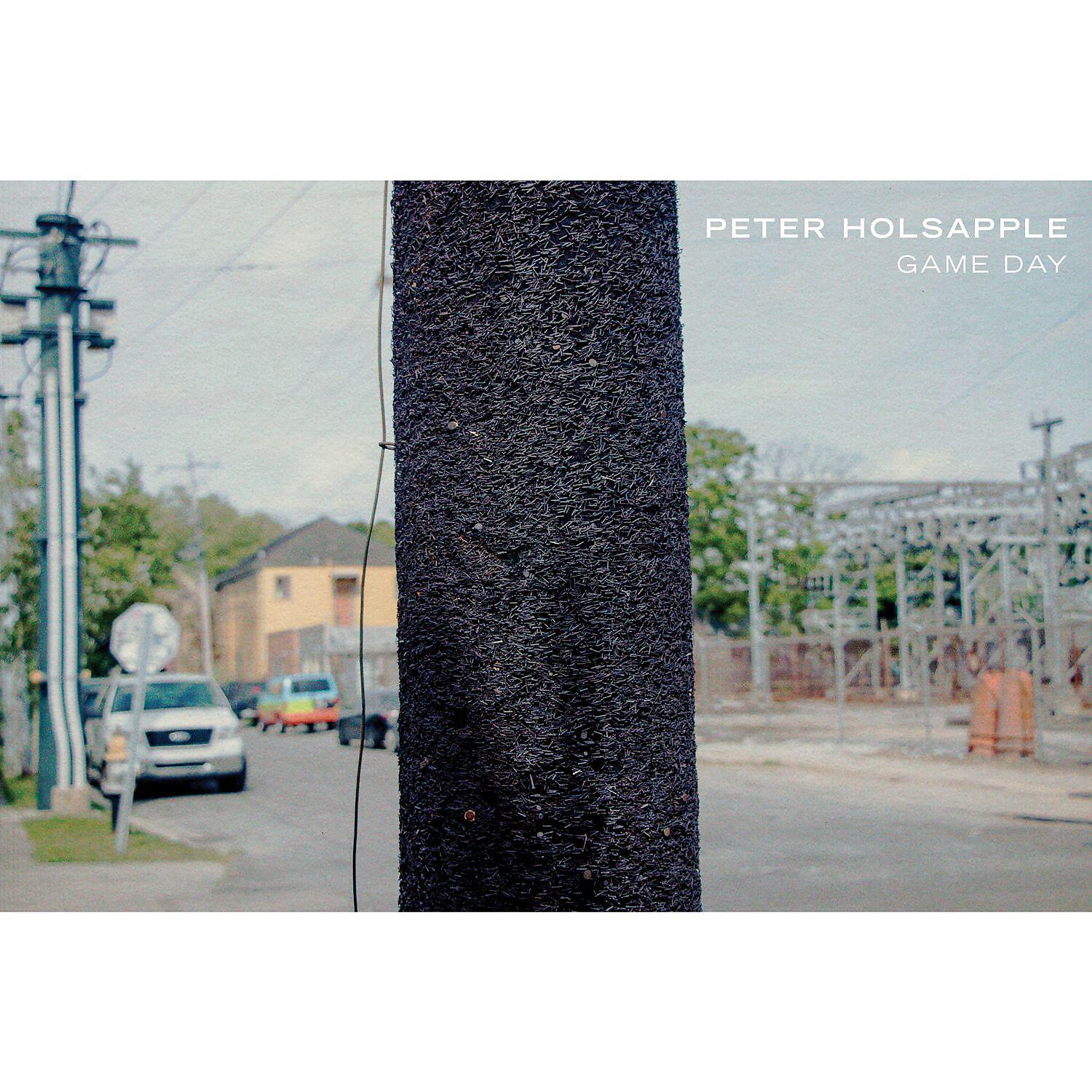 Peter Holsapple - Commonplace
