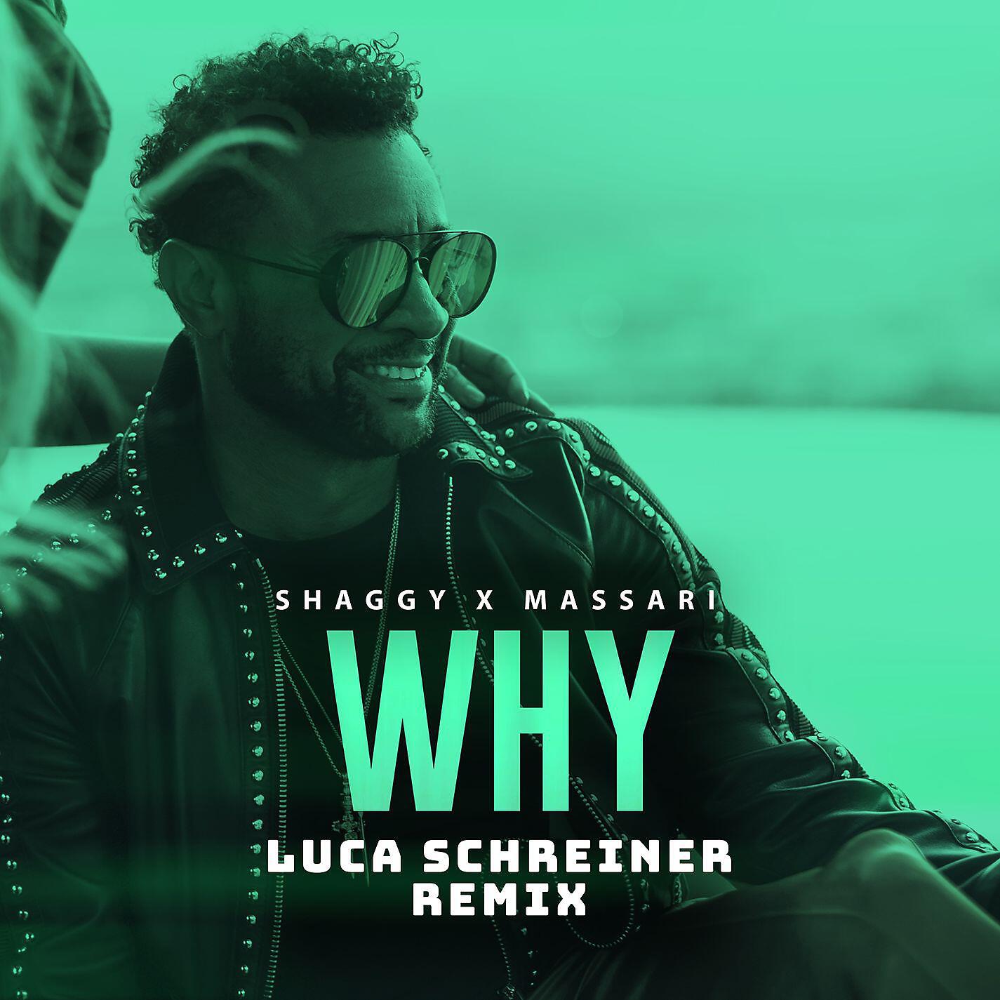 Shaggy - Why (Luca Schreiner Remix)