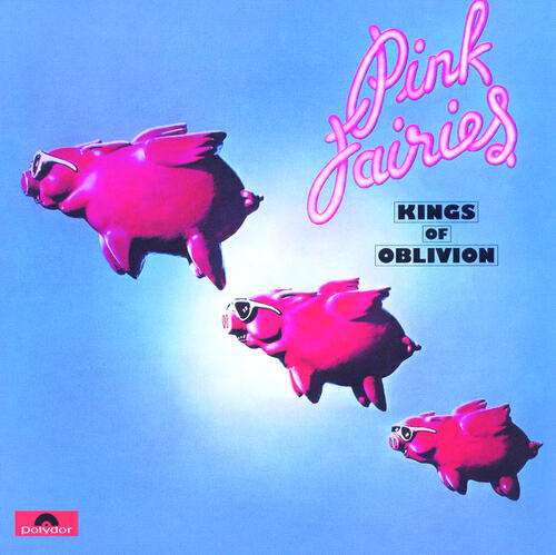 The Pink Fairies - Chromium Plating