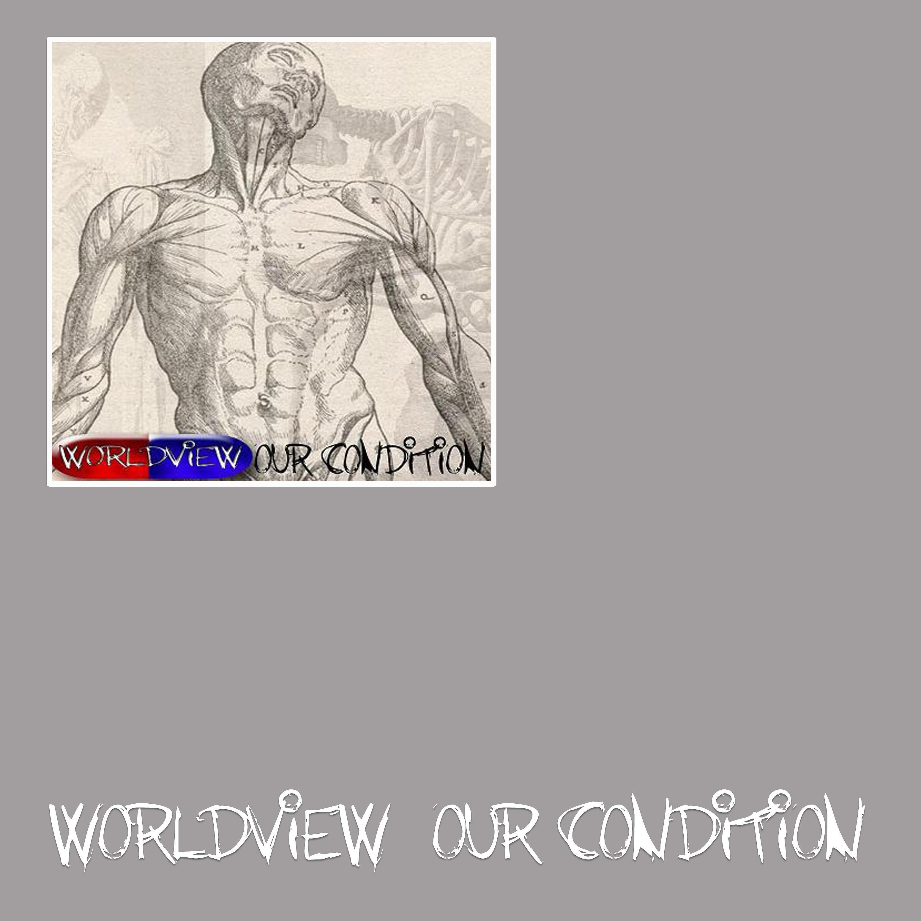 Worldview - One Rule for You