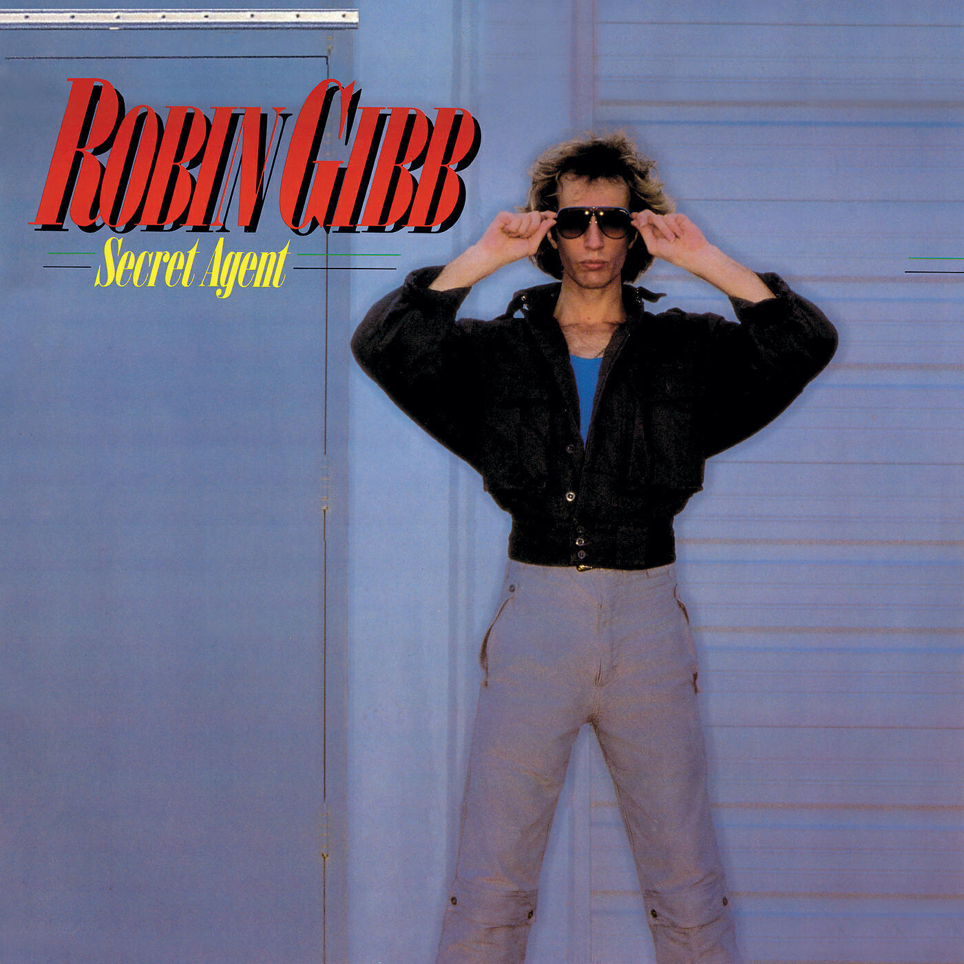 Robin Gibb - Rebecca
