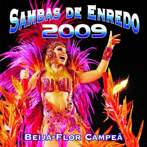 Постер альбома Sambas De Enredo Das Escolas De Samba - Carnaval 2009