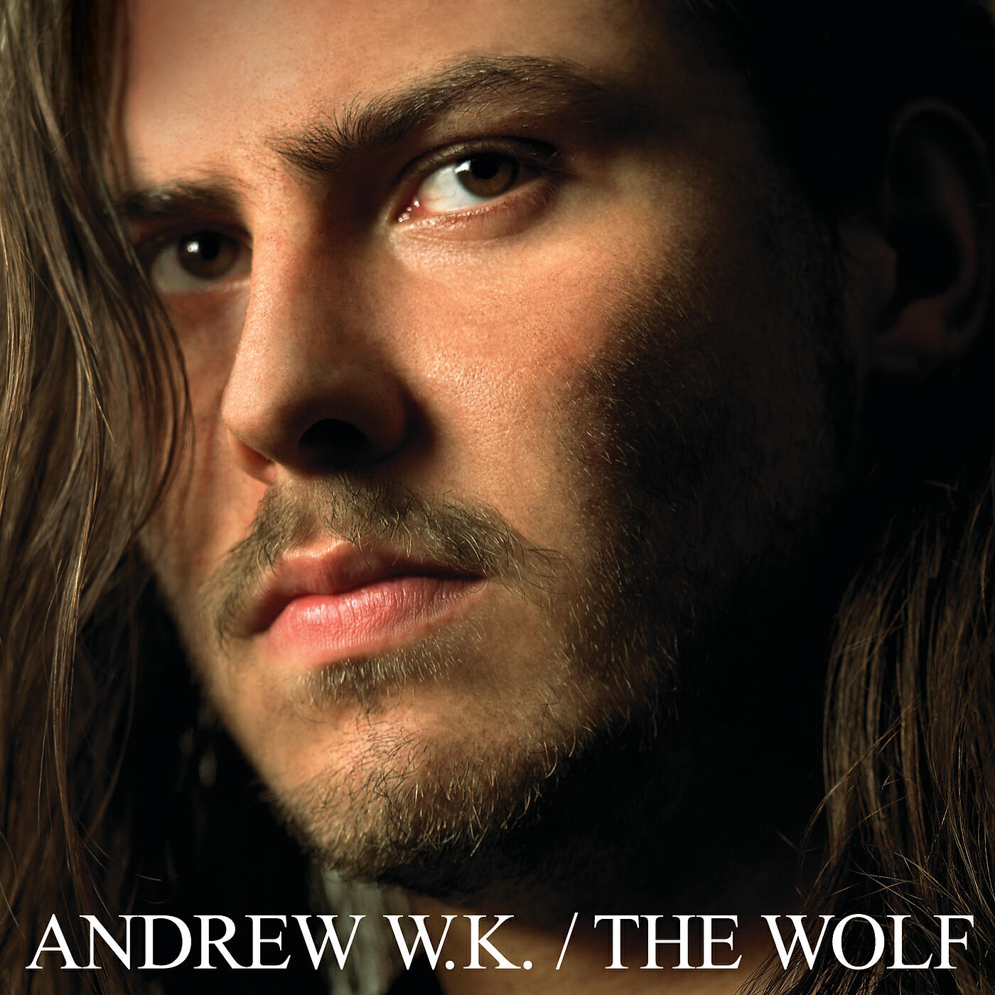 Andrew W.K. - The End Of Our Lives