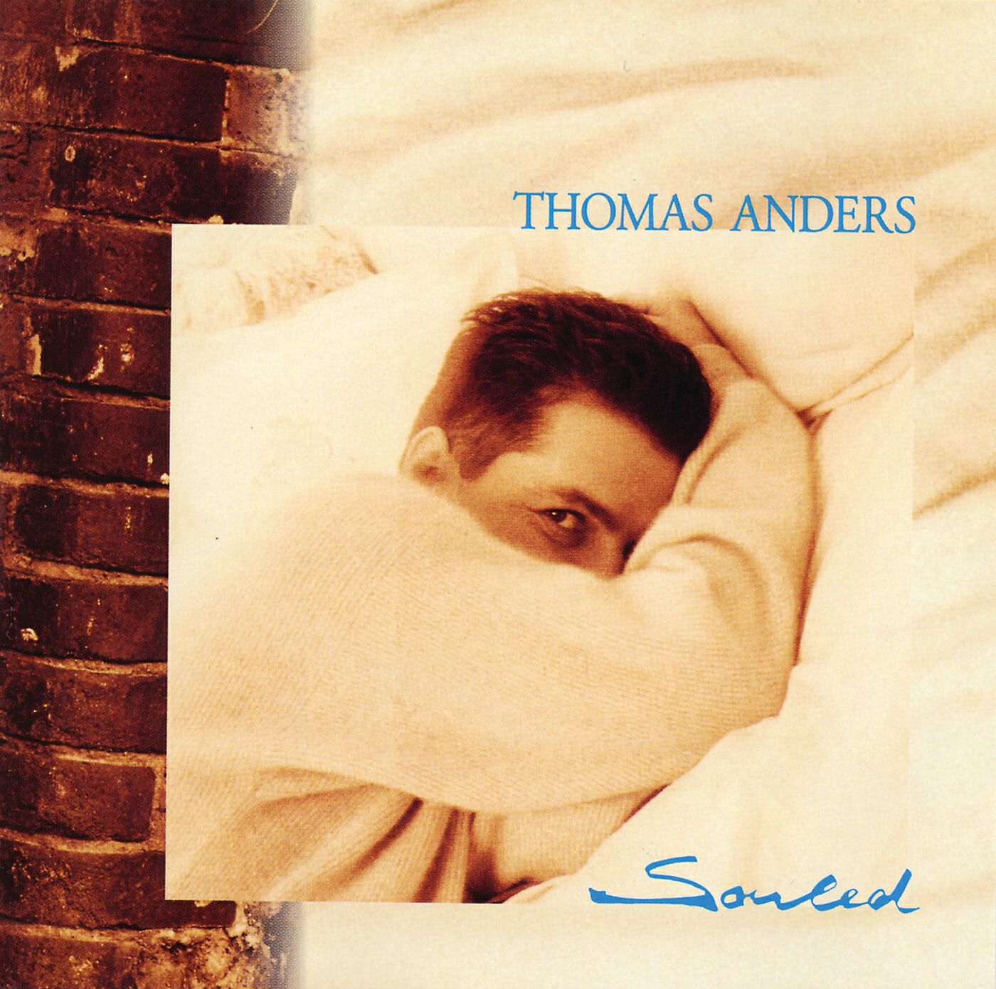 Thomas Anders - Never Knew Love Like This Before (Album Version)