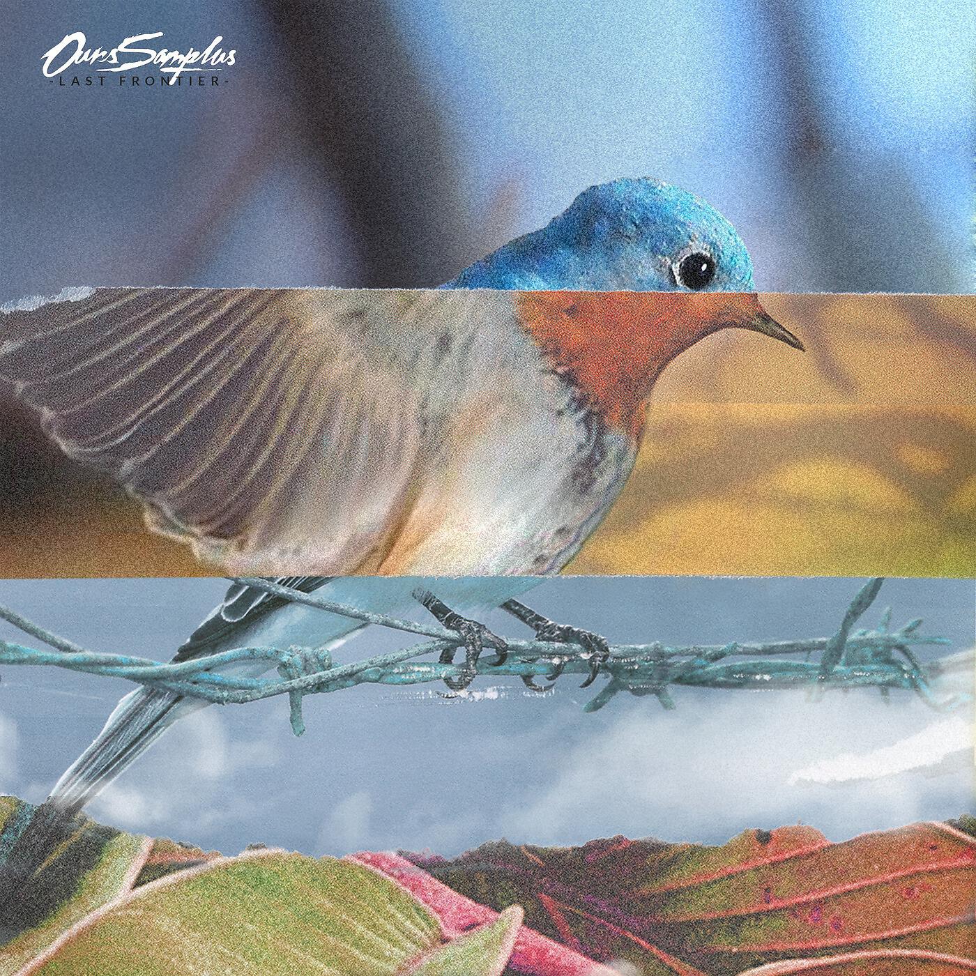 Ours Samplus - Memento
