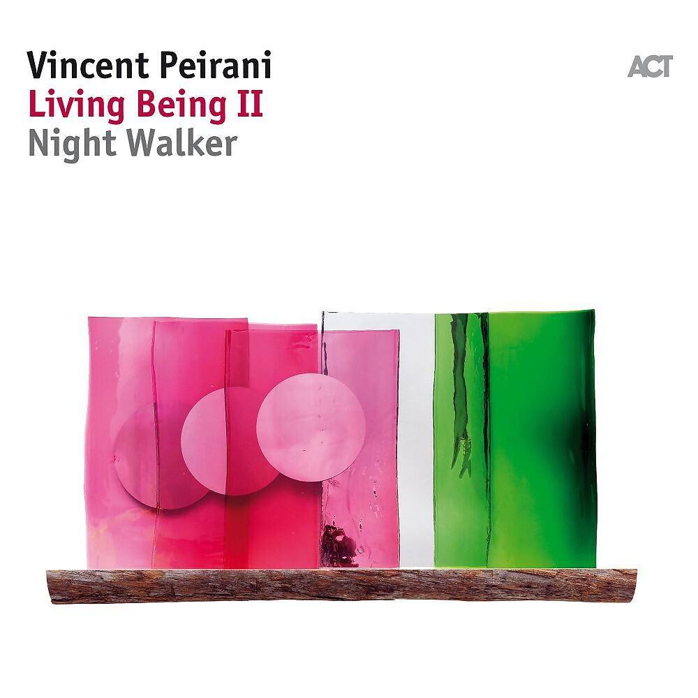 Vincent Peirani - Enzo