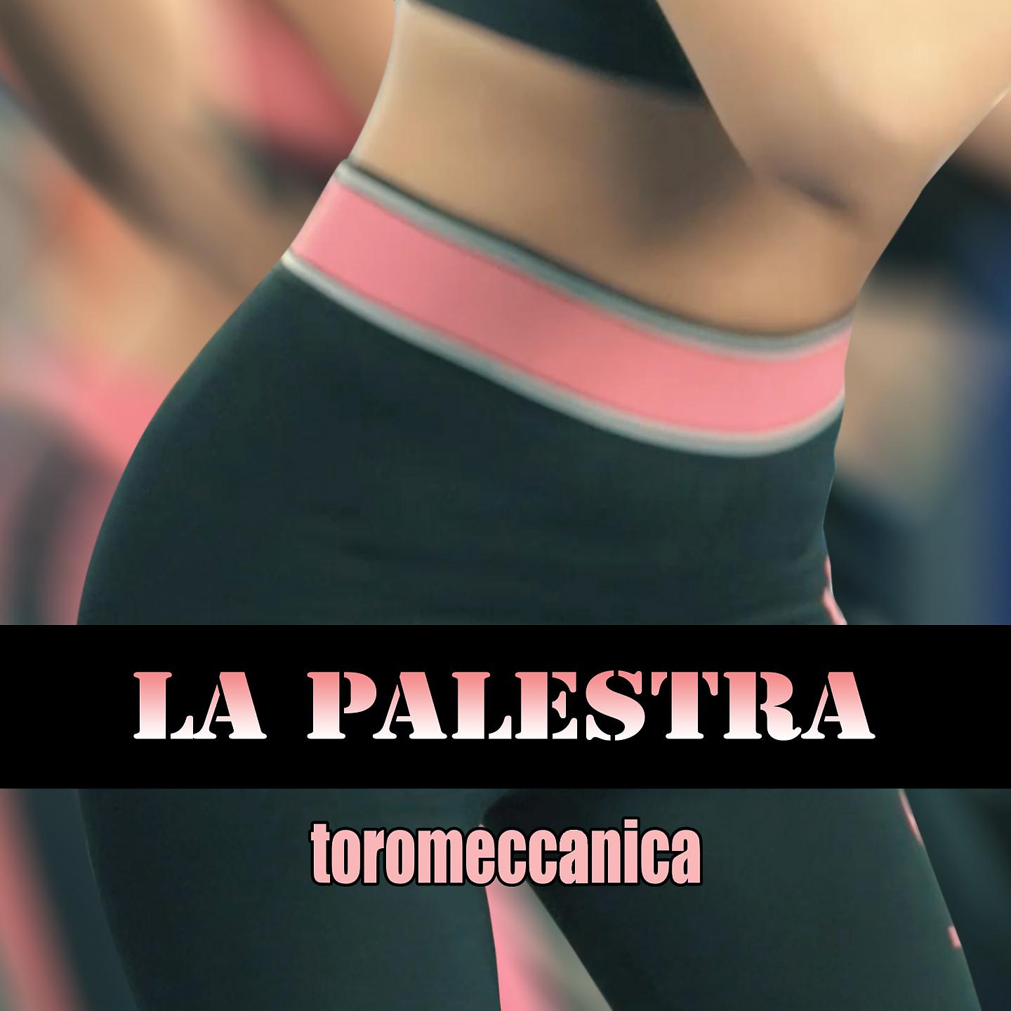 Постер альбома La palestra