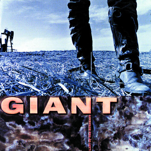 GIANT - The Big Pitch