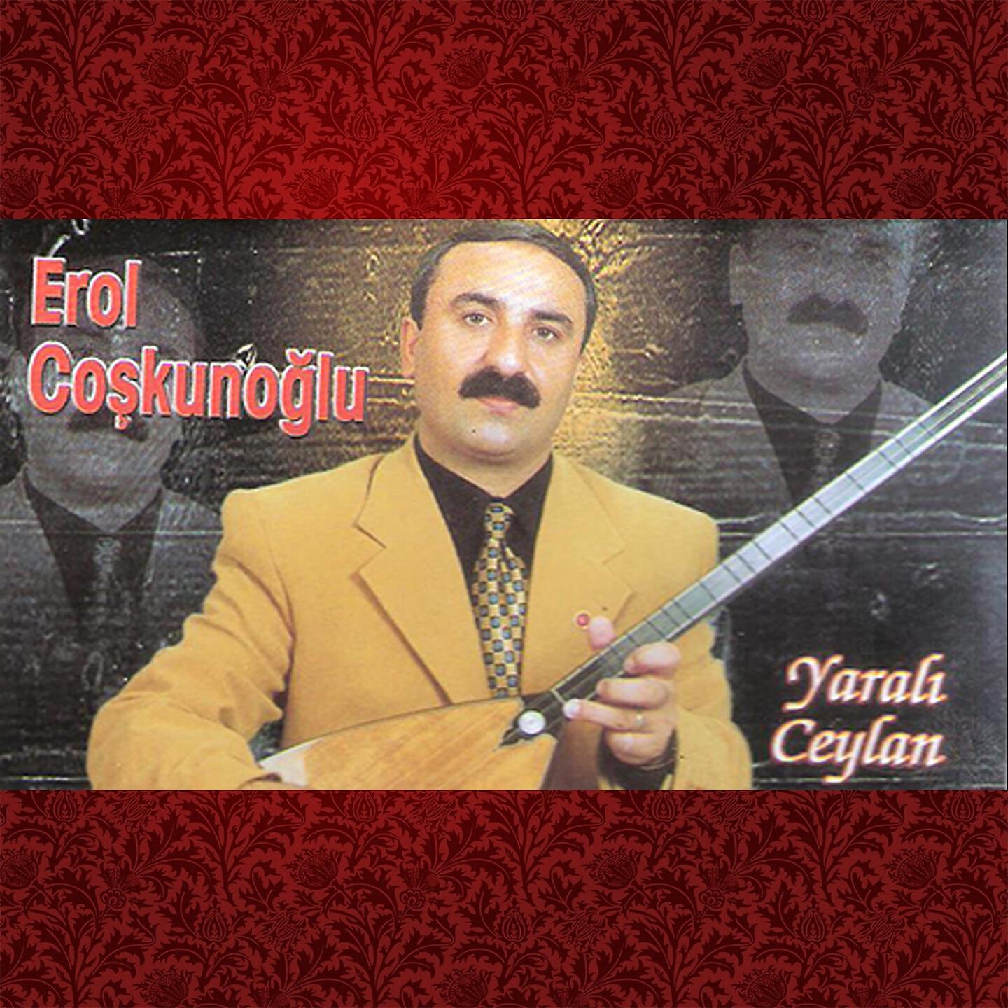 Erol Coşkunoğlu - Trafik