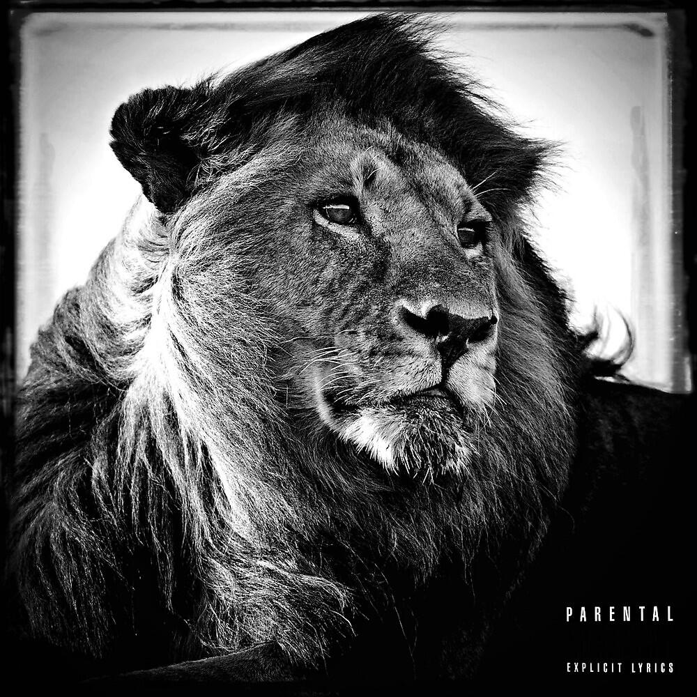 Saint Leo - Black & White