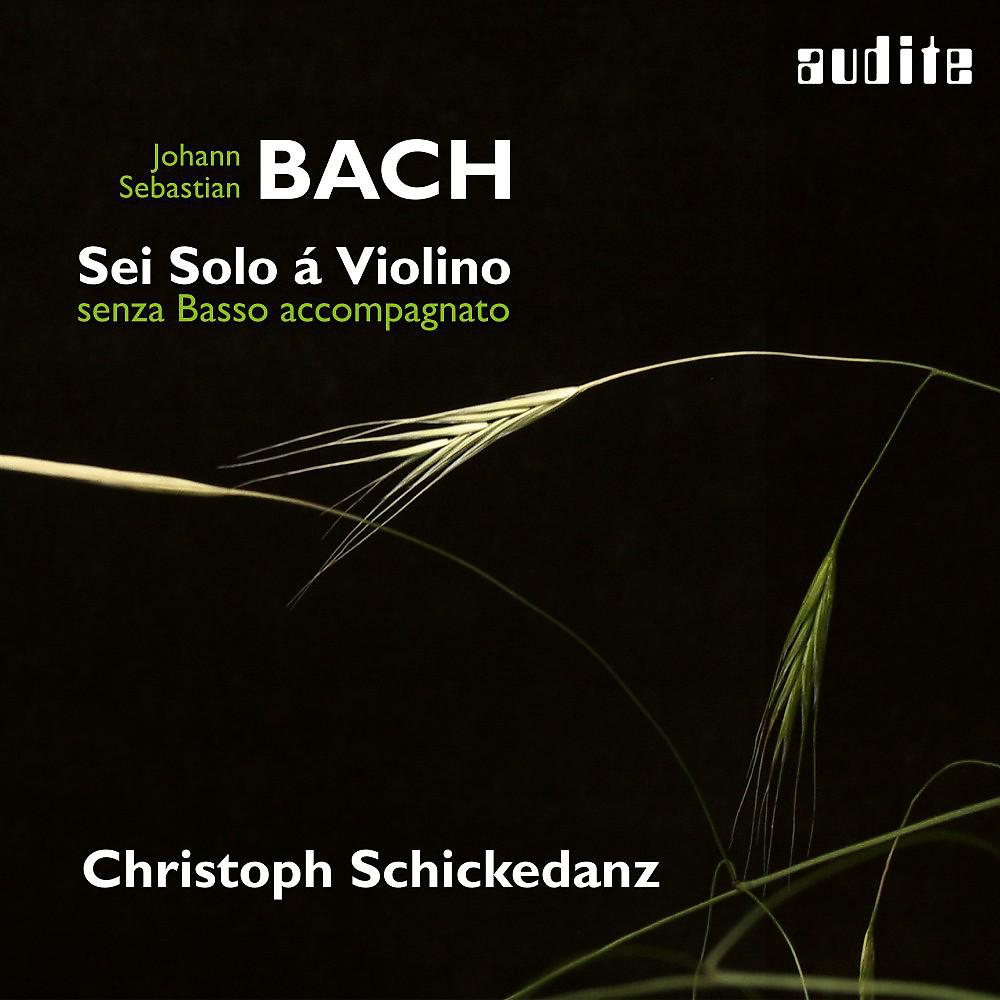 Постер альбома Bach: Sonatas and Partitas for Solo Violin (Sei Solo á Violino senza Basso accompagnato)