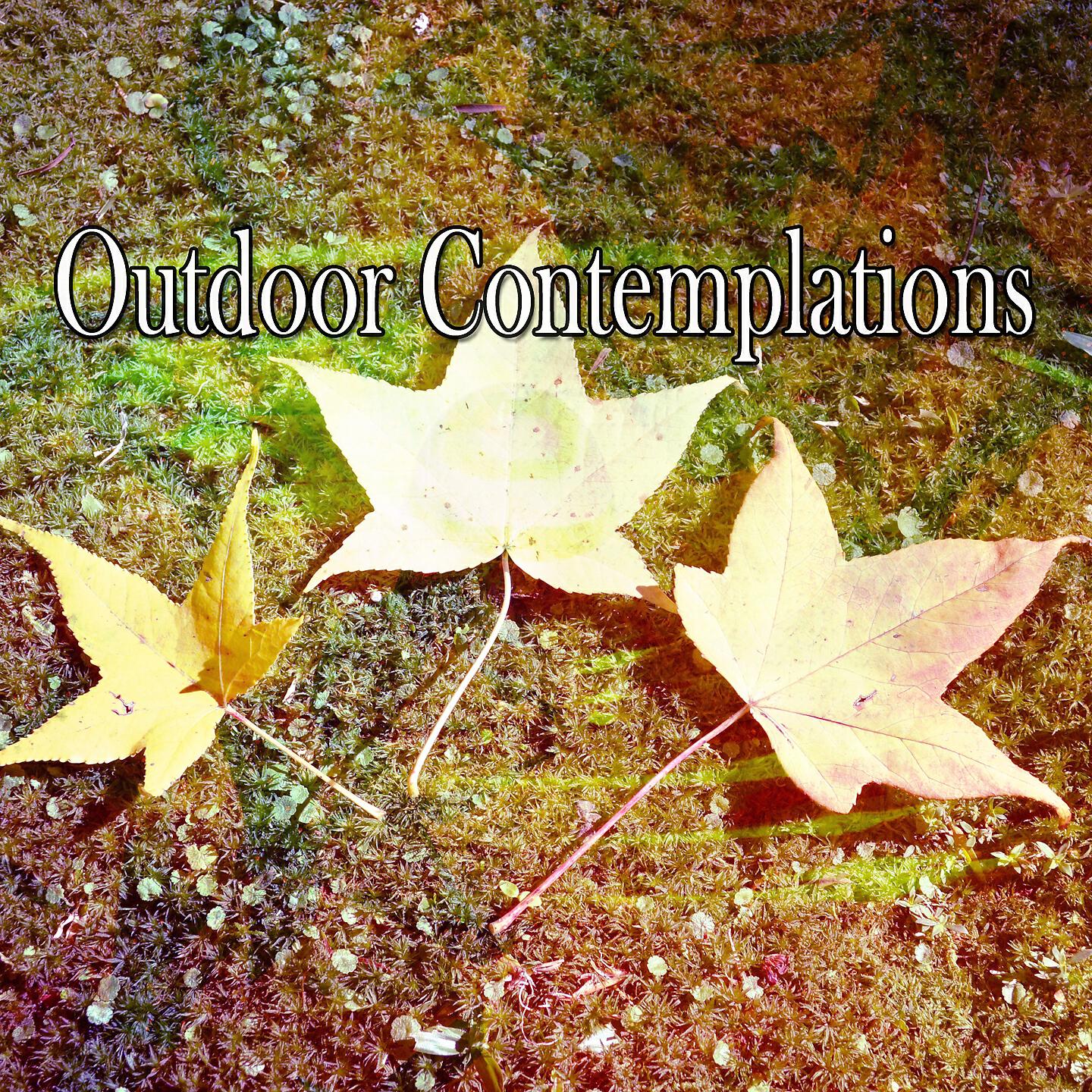 Asian Zen Spa Music Meditation - Echoes of Awareness