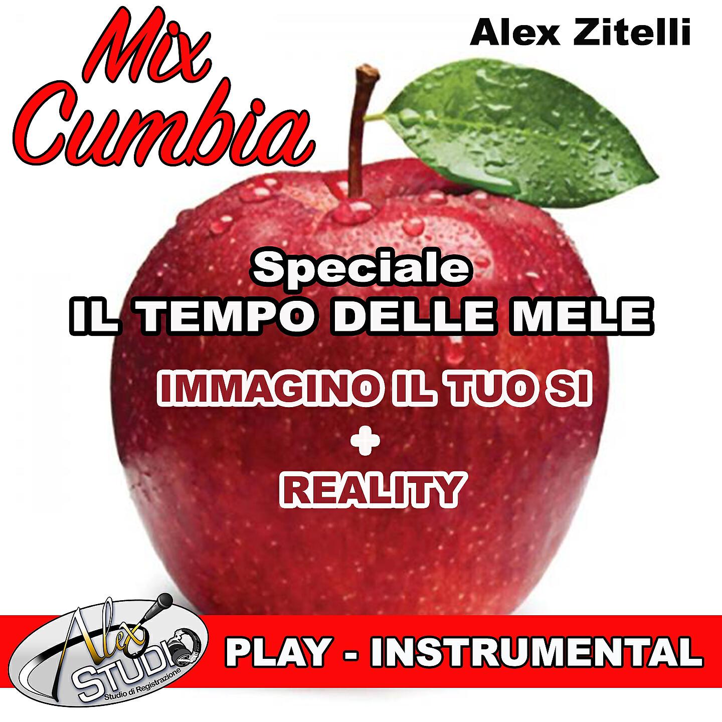 Alex Zitelli - IMMAGINO IL TUO SI - REALITY (Instrumental No Guitar)