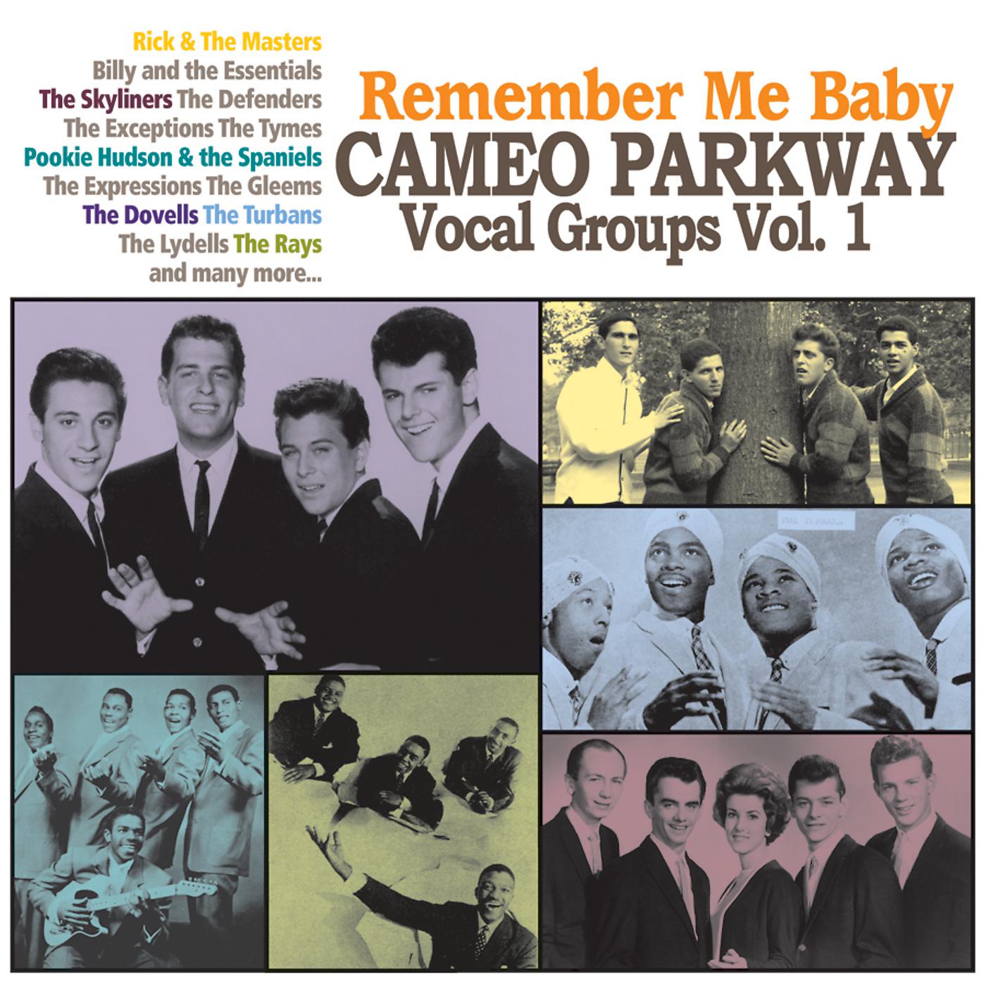 Постер альбома Remember Me Baby: Cameo Parkway Vocal Groups Vol. 1