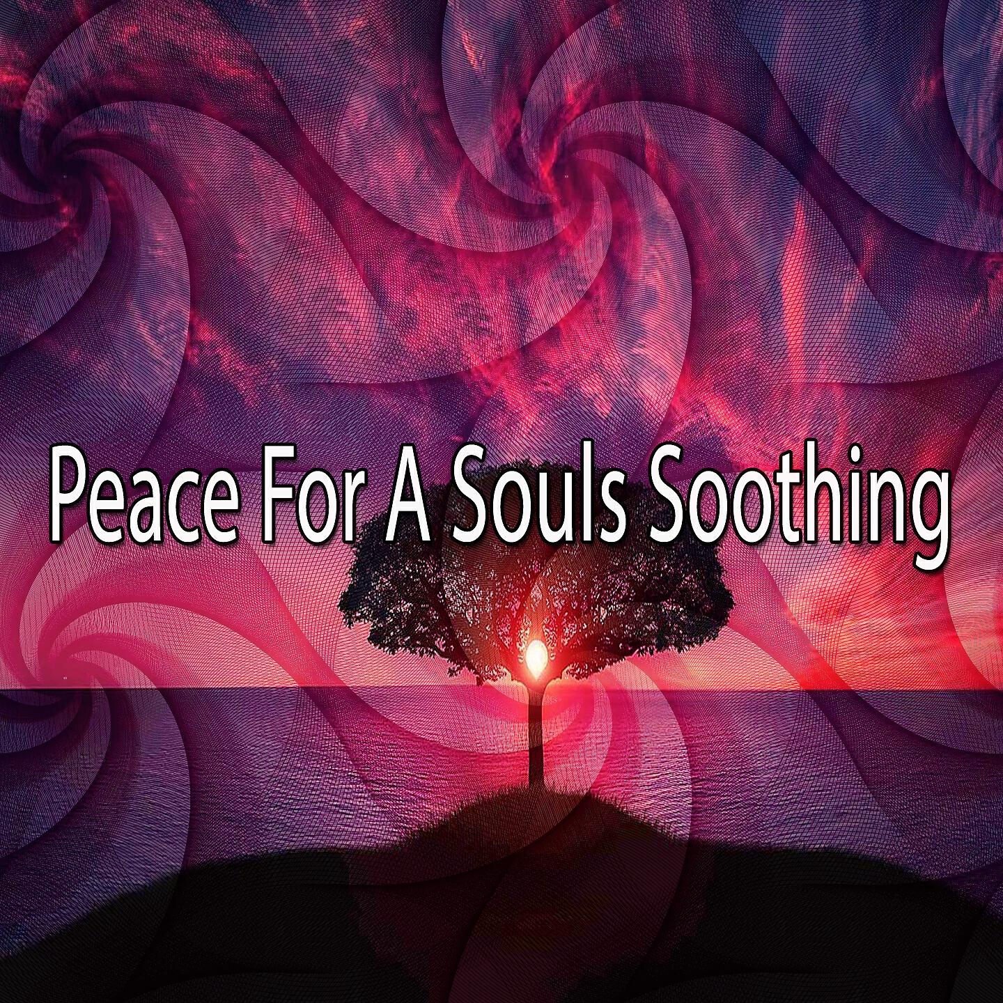 Meditation Zen Master - Echoes of Awareness