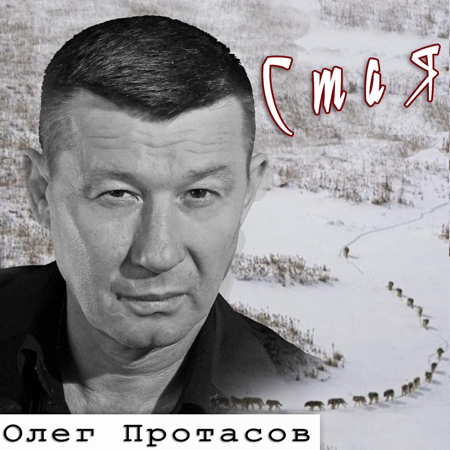 Постер альбома Стая