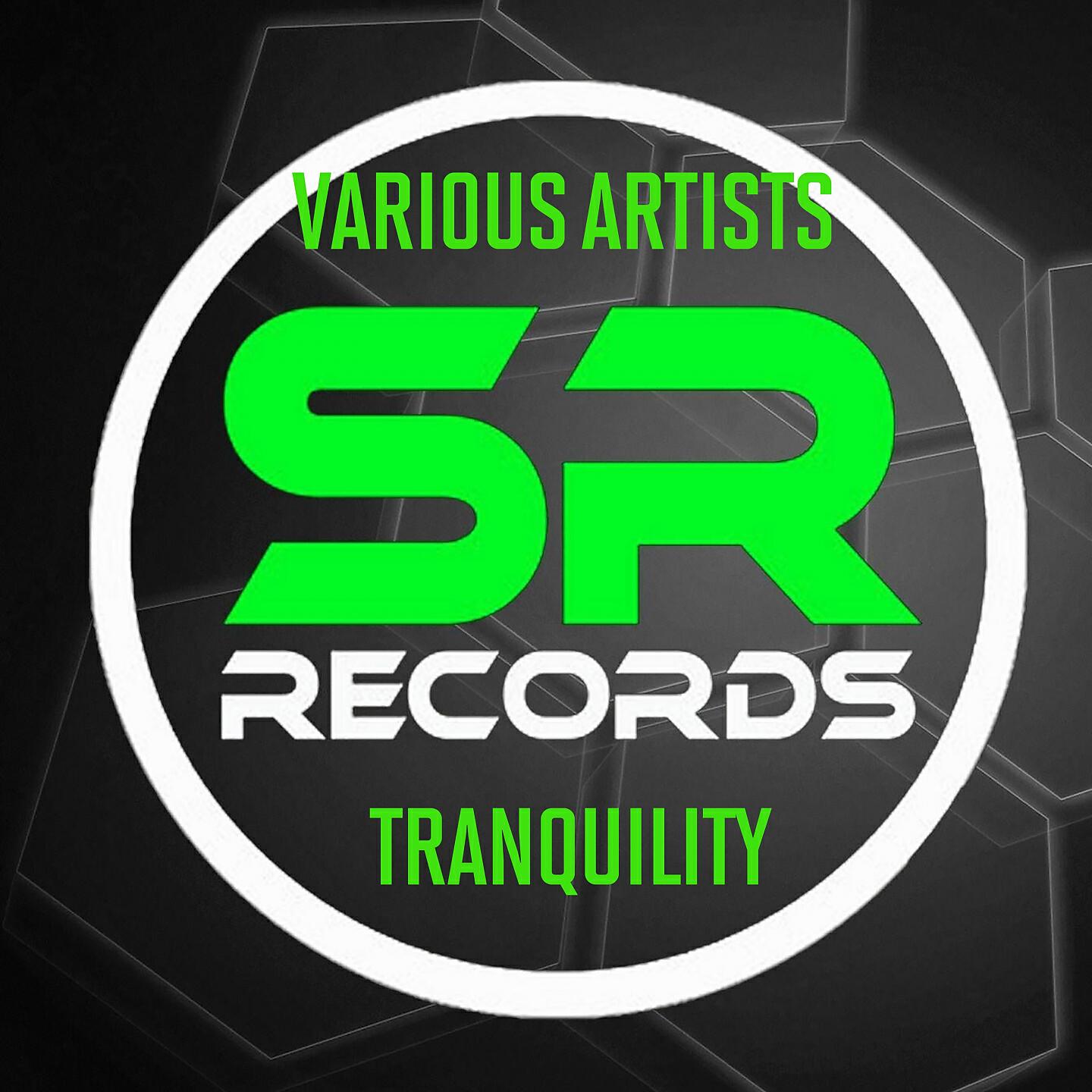 Mr. PlatoniK - Syndrom (Destructivechaos Remix)
