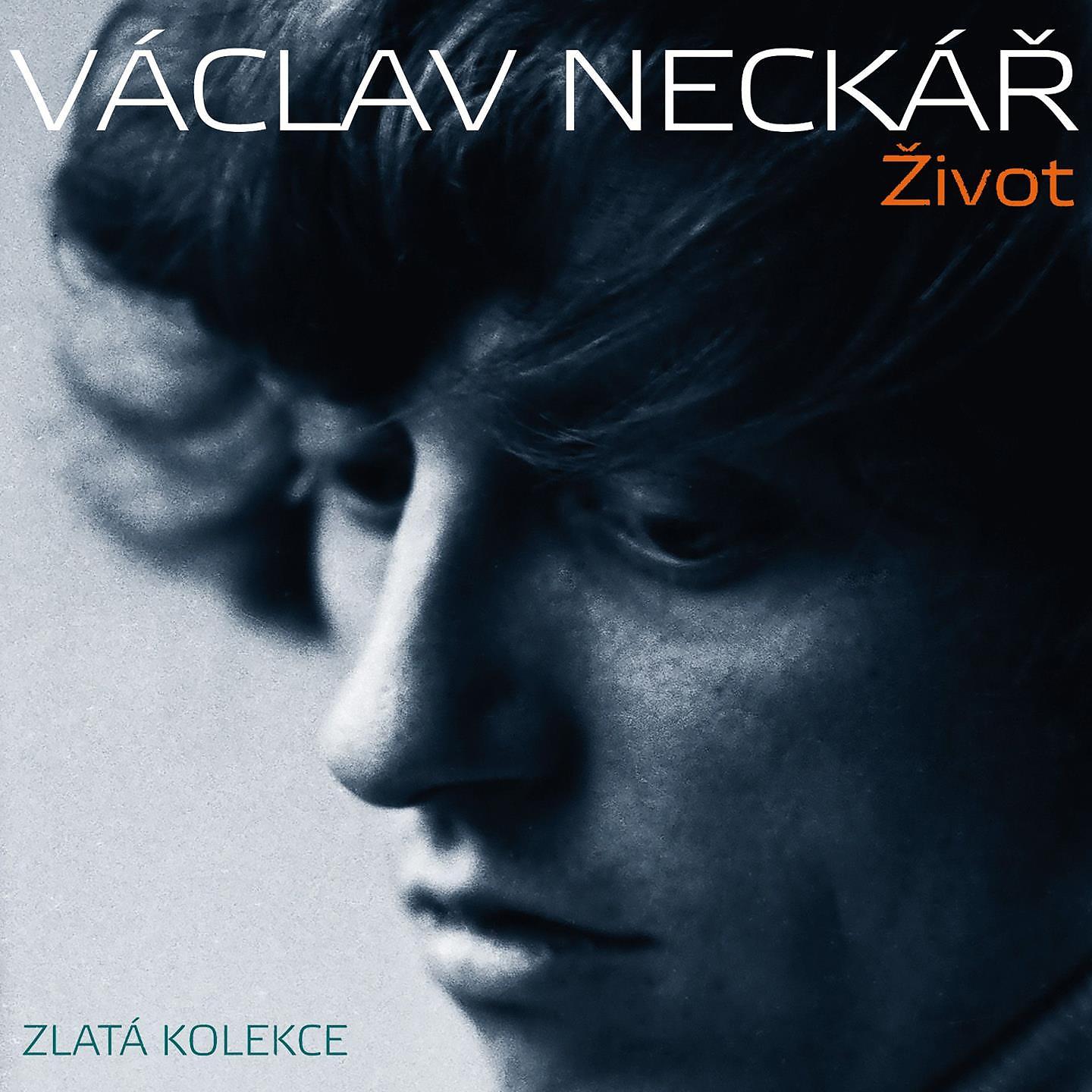 Постер альбома Život