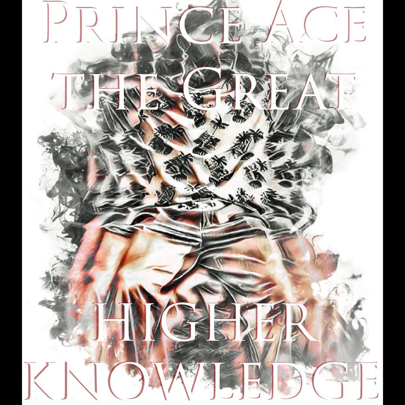 Prince Ace the Great - Netflix and Chill