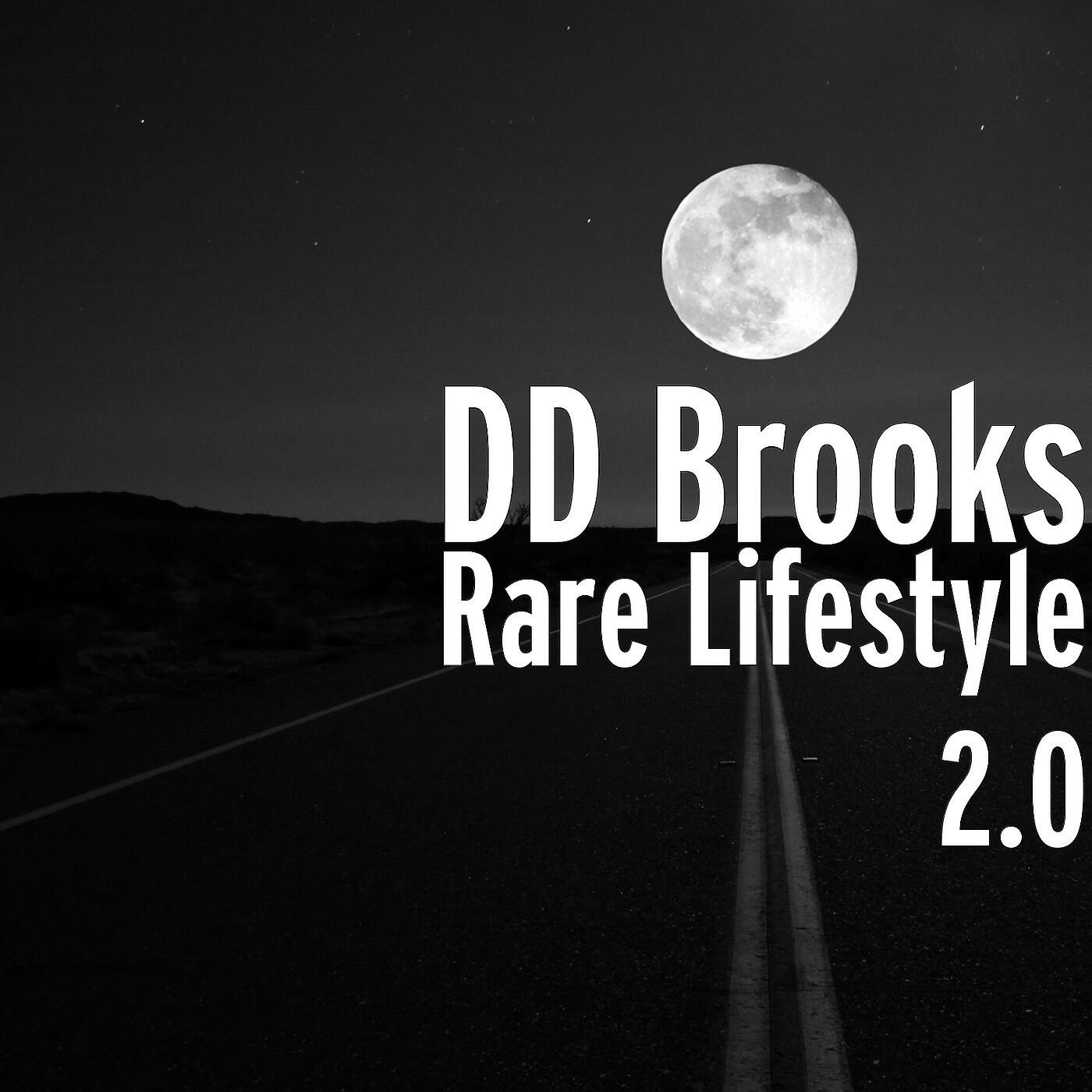 DD Brooks - Bridge Burner