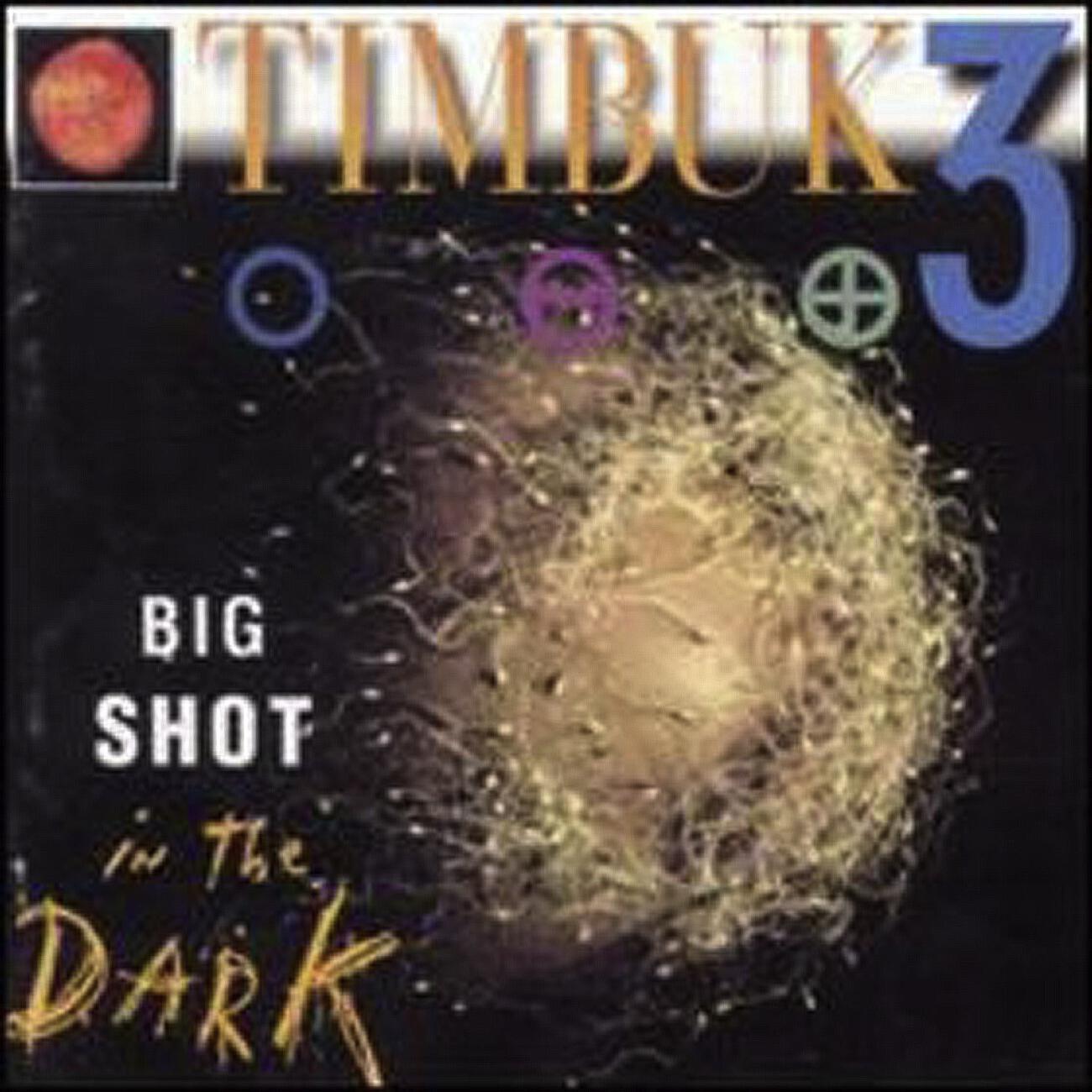 Timbuk 3 - Two Medicines