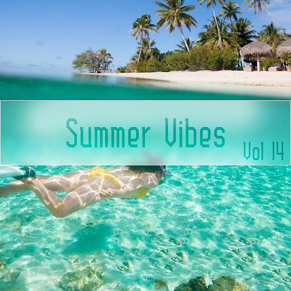 Постер альбома Summer Vibes,Vol.14